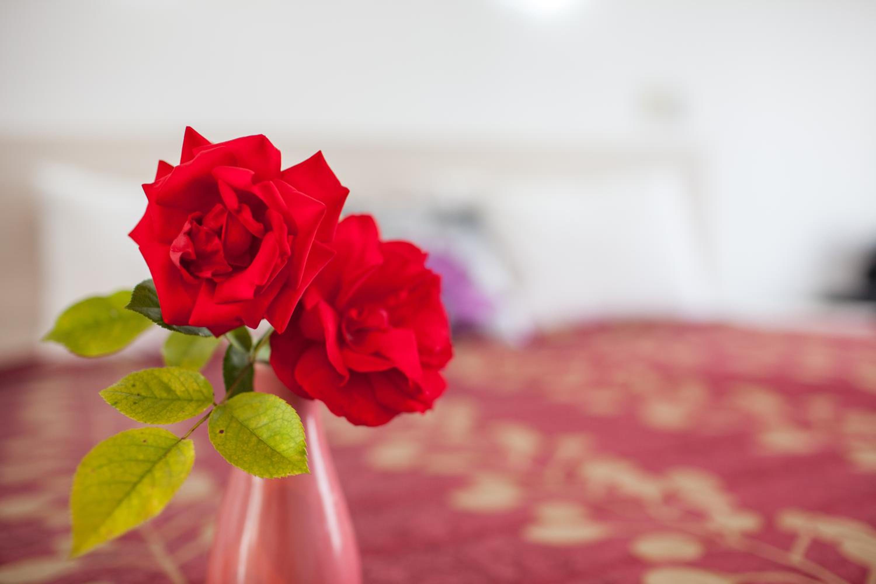 Rose Court Motel