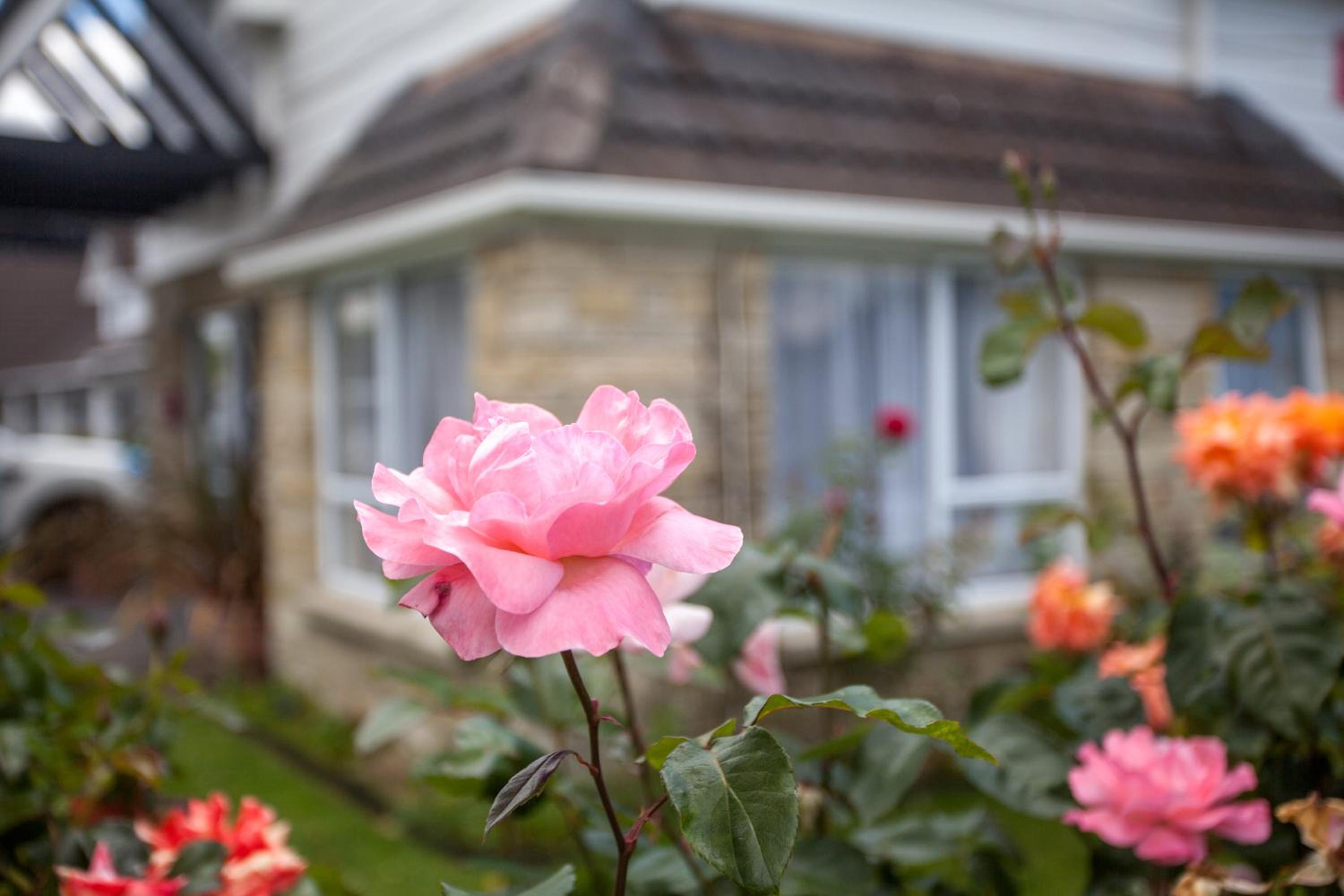 Rose Court Motel