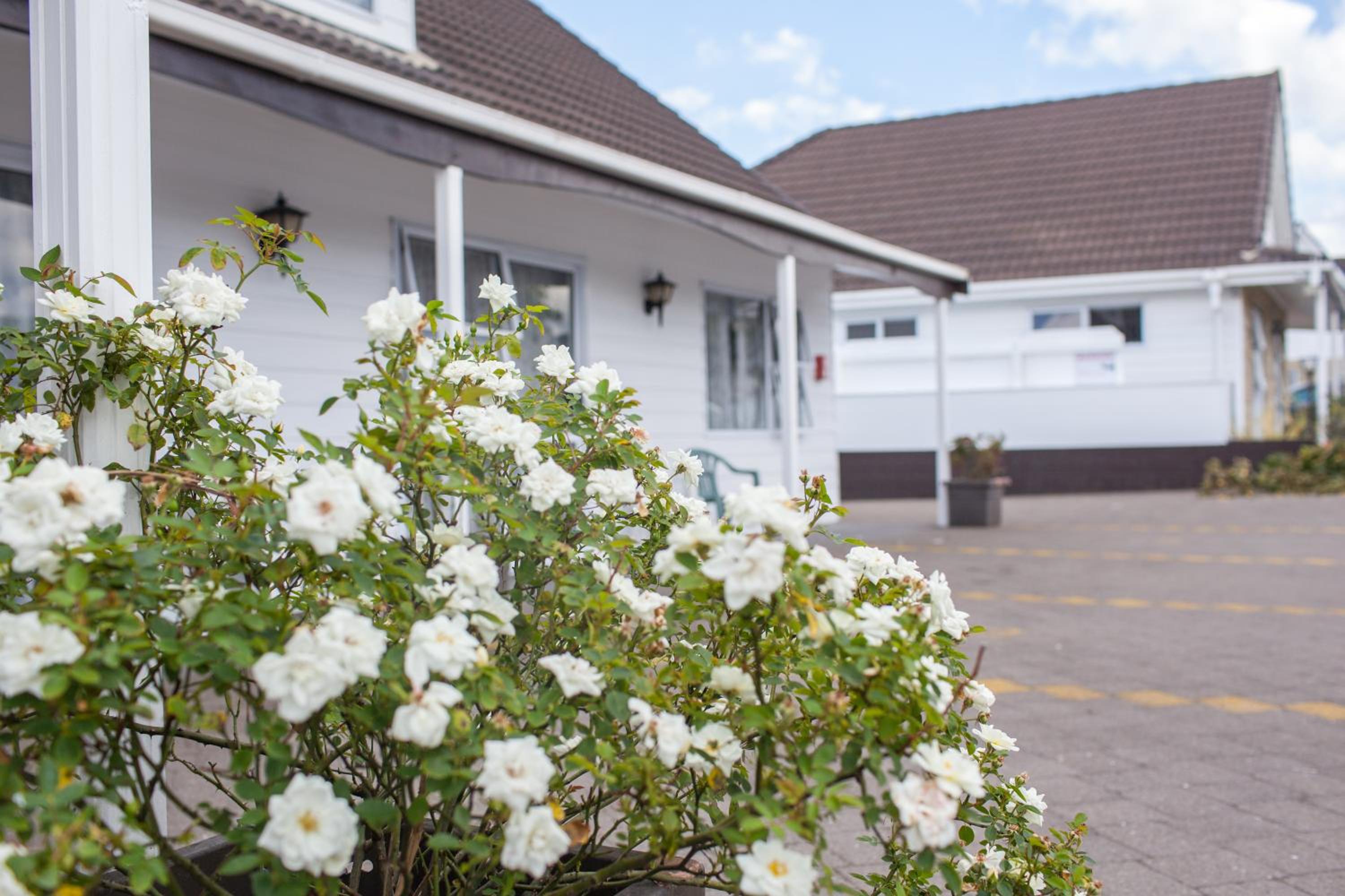 Rose Court Motel