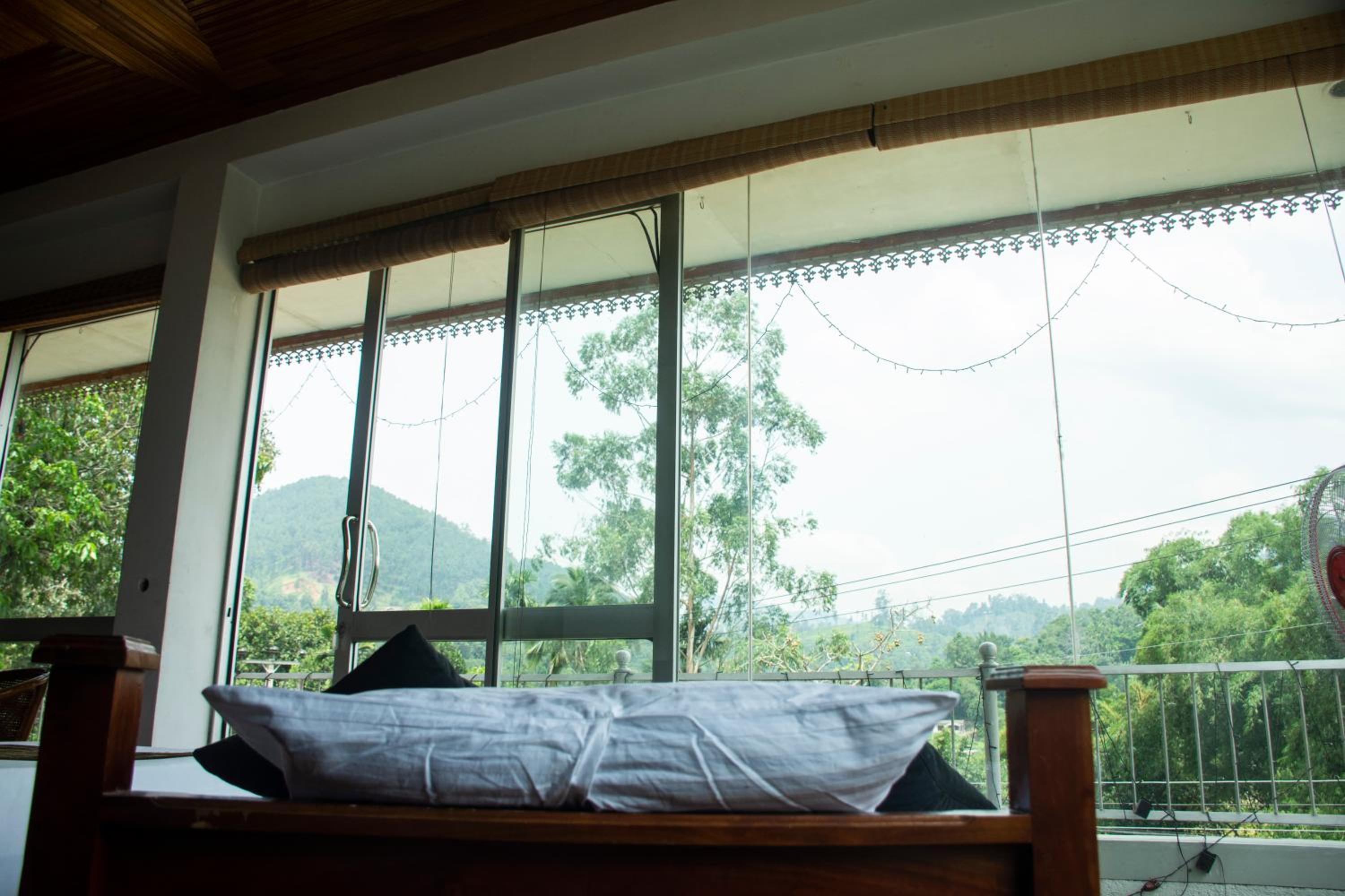 Dew Lee view 5