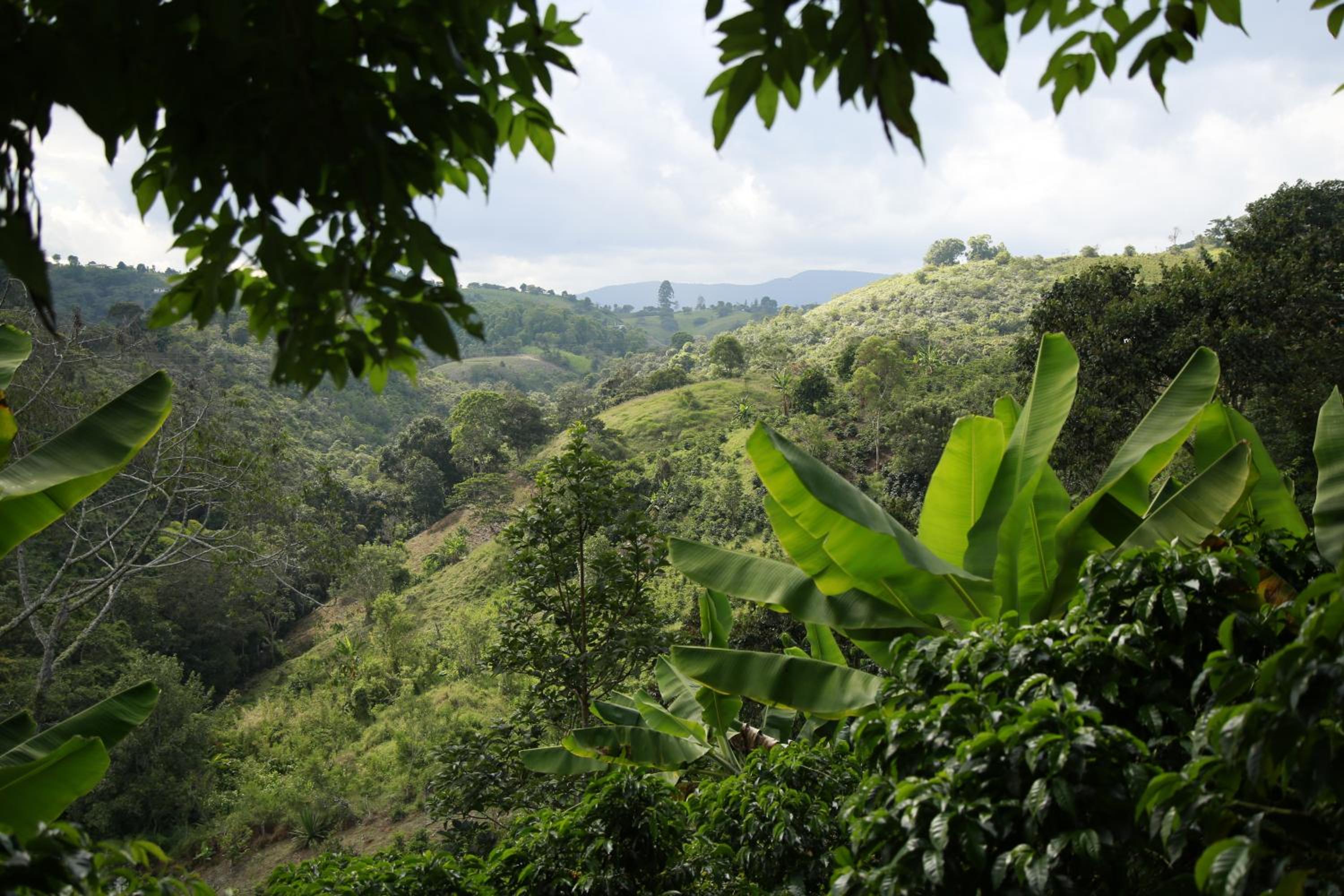Cabaña Ecológica Finca Cometa