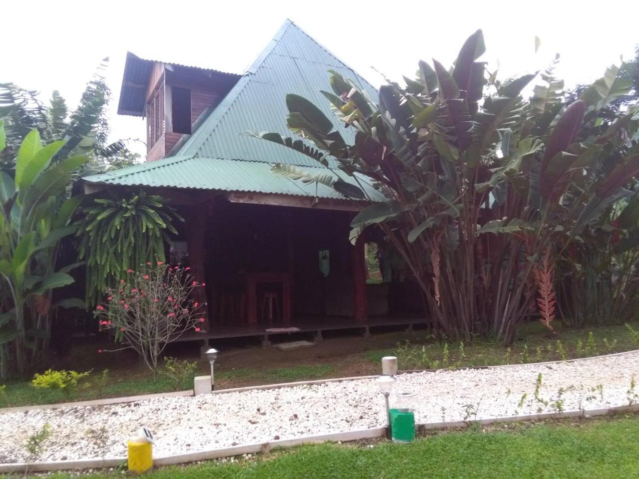 Photo 9