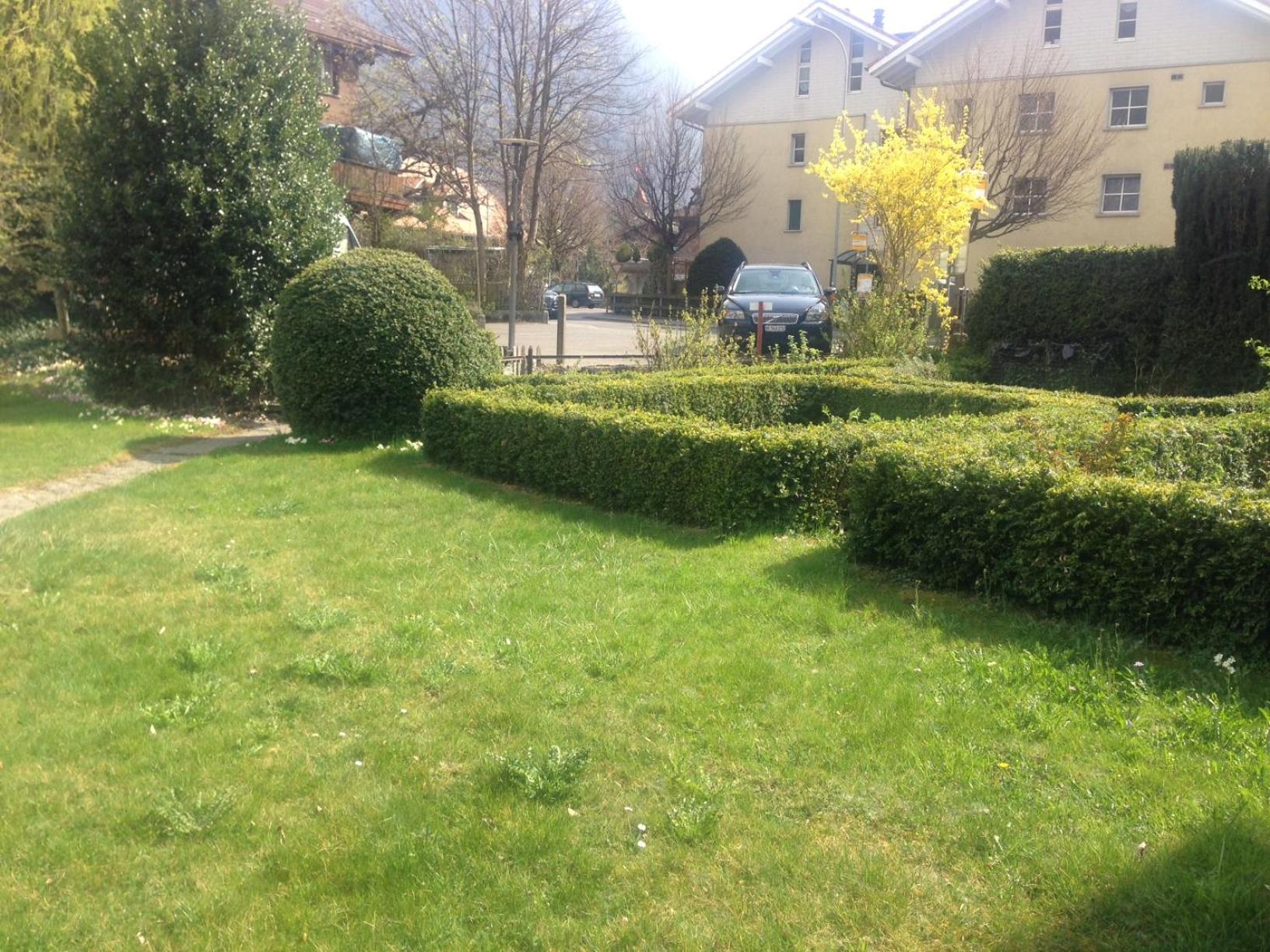 Photo 19