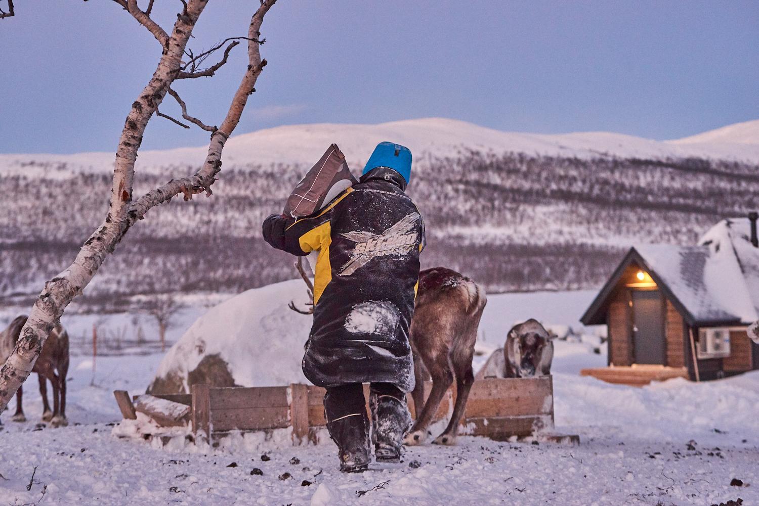 Arctic Land Adventure Glass Igloos