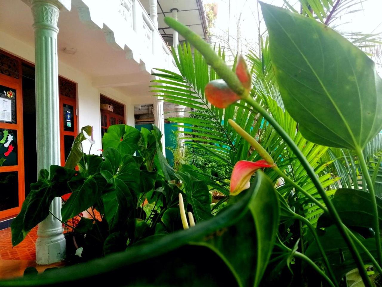 Ella Jayamali Homestay