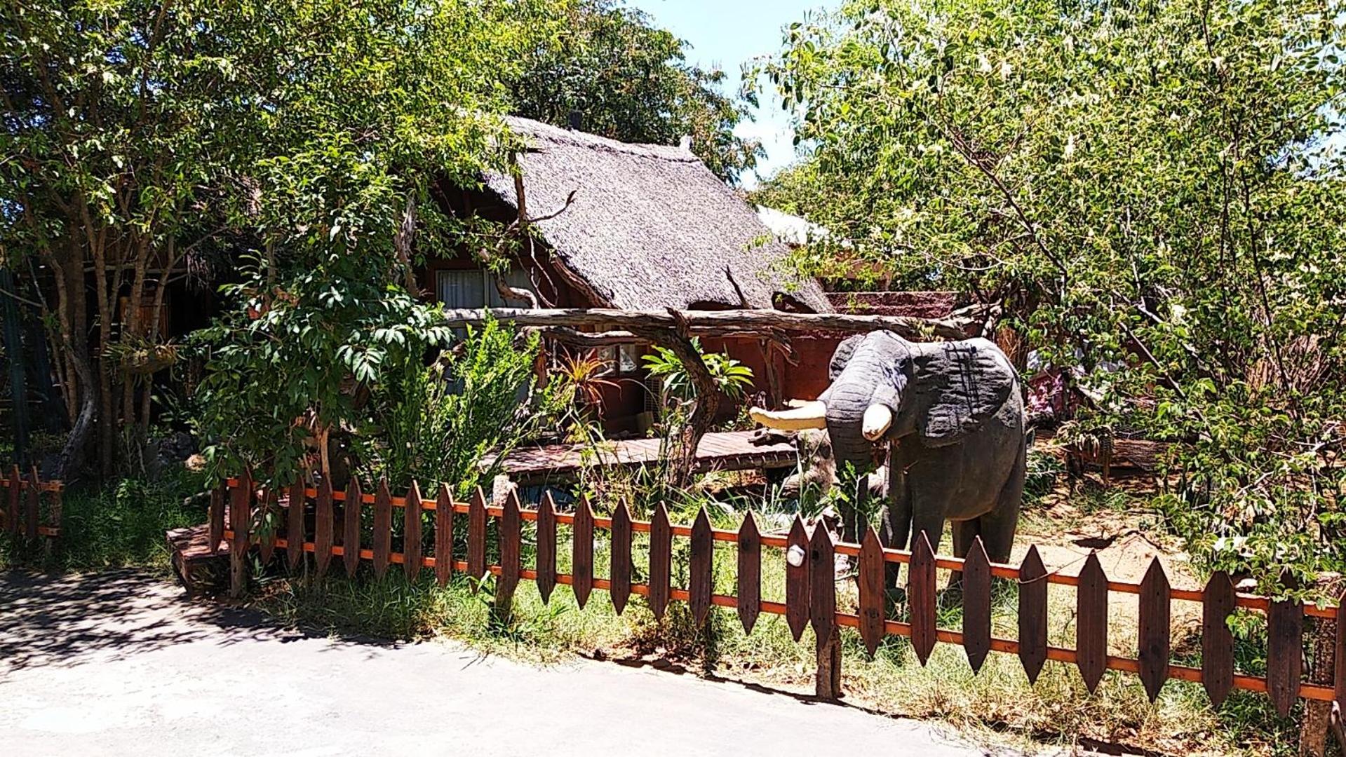 Elephant Trail Guesthouse and Backpackers