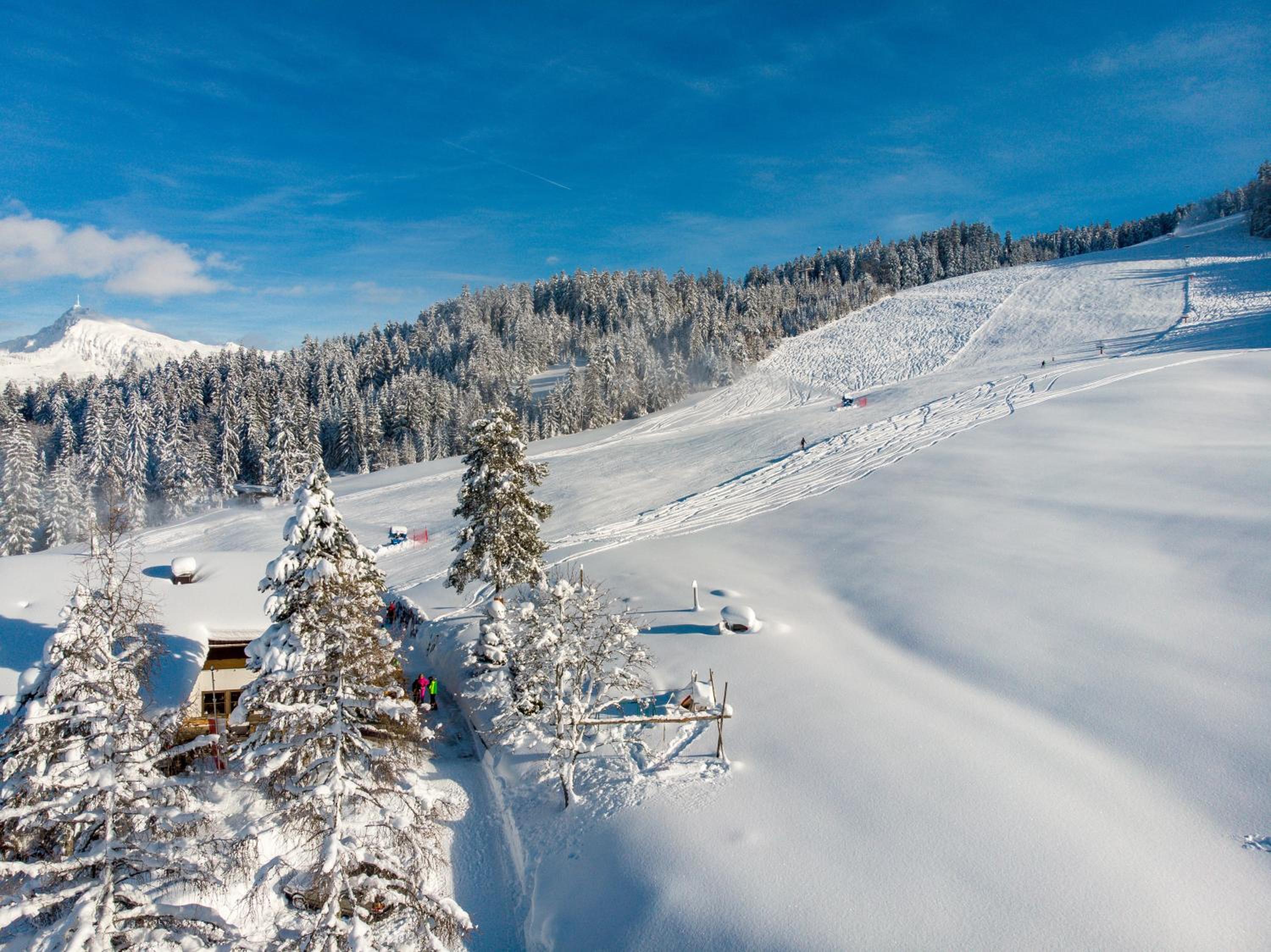 Berggasthof Staudachstub'n