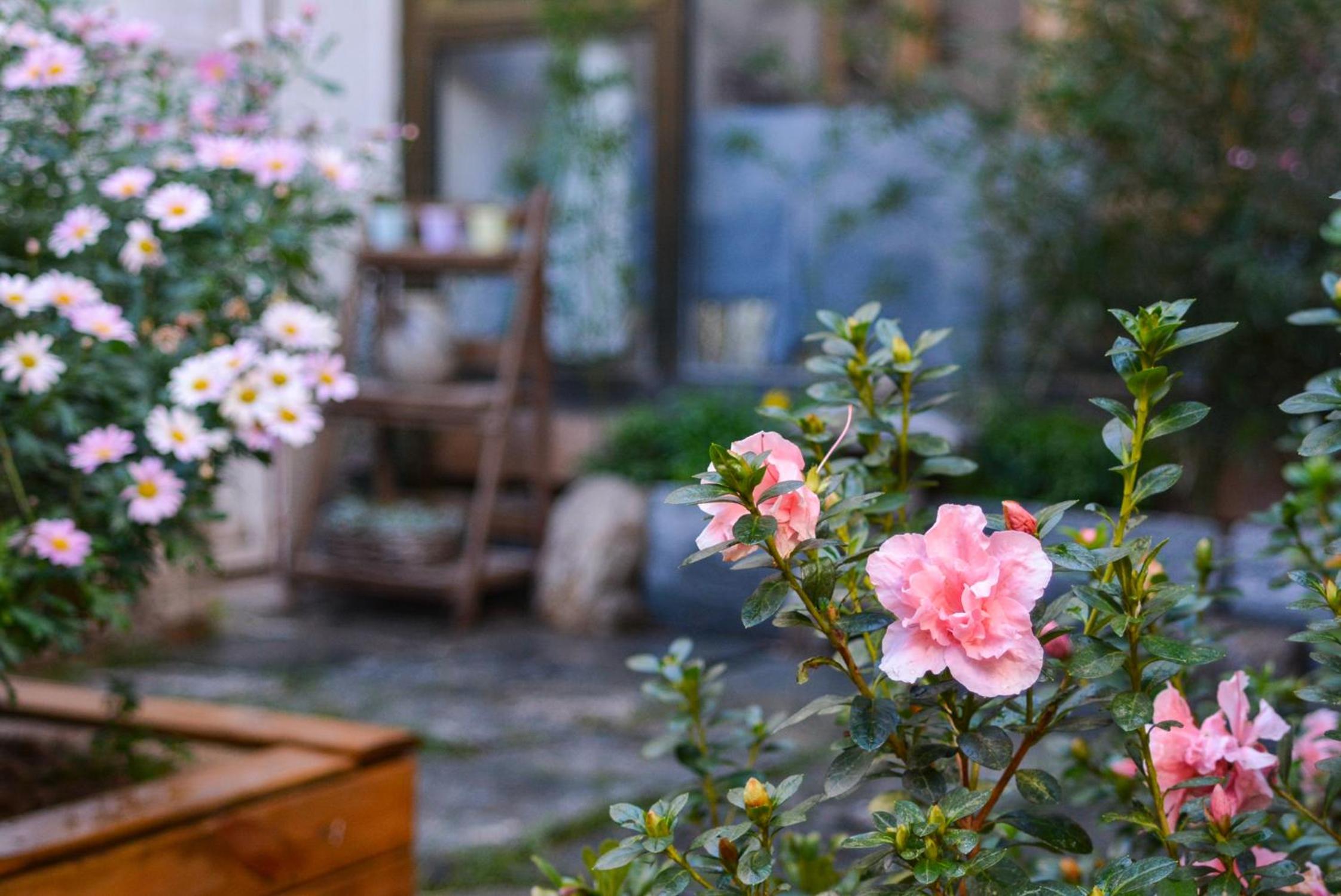 Dali Buxianshan Guesthouse-in Dali ancient city, free coffee, english speaking employee