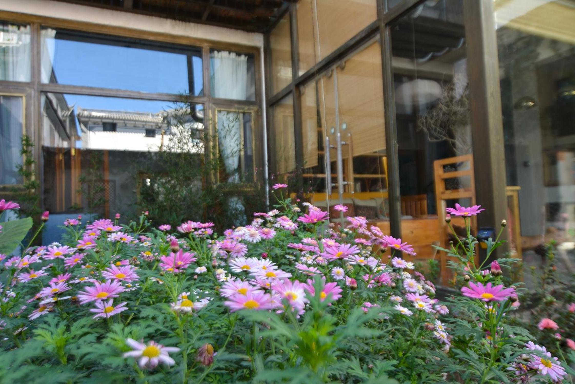 Dali Buxianshan Guesthouse-in Dali ancient city, free coffee, english speaking employee
