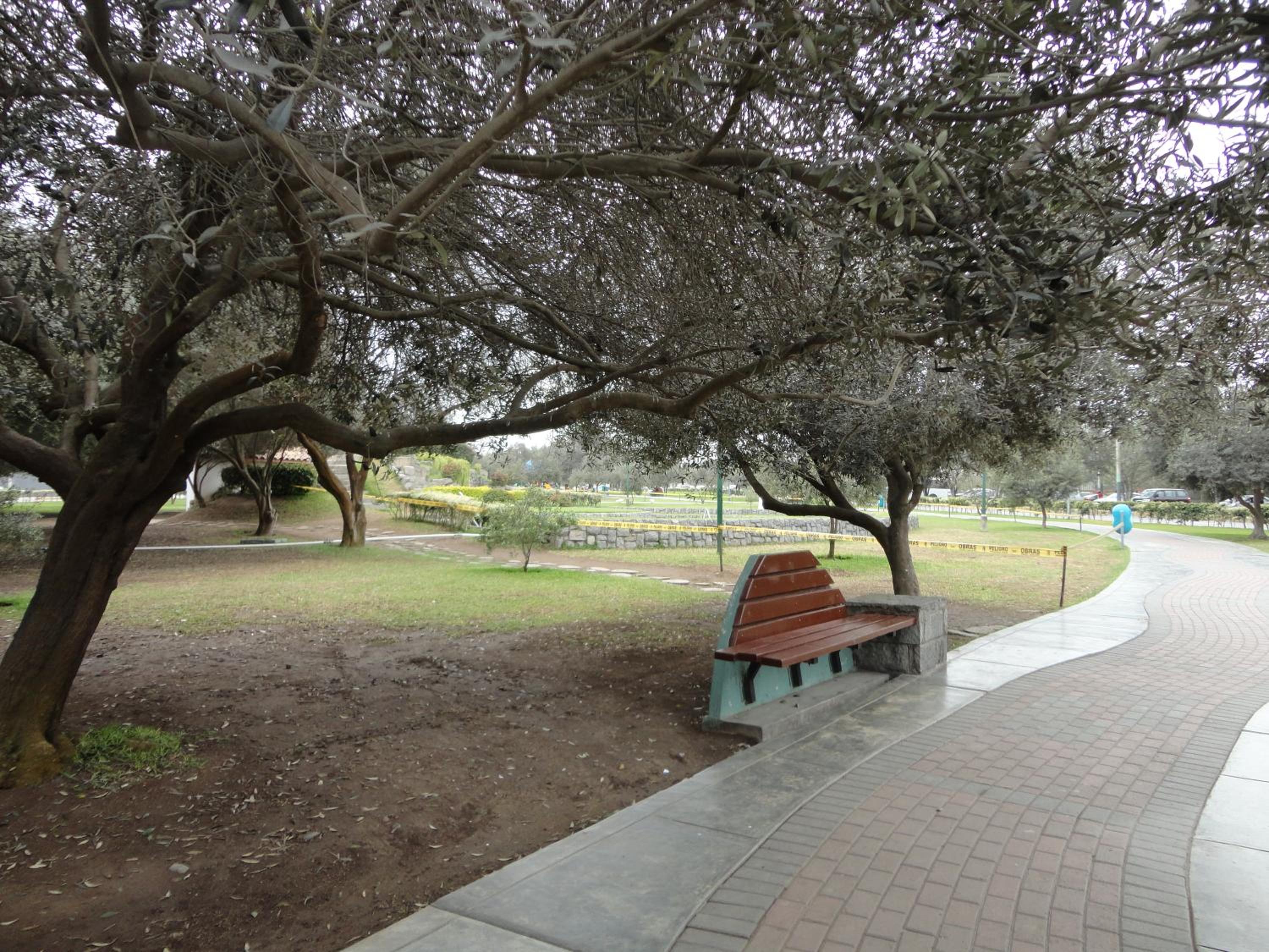 Photo 18