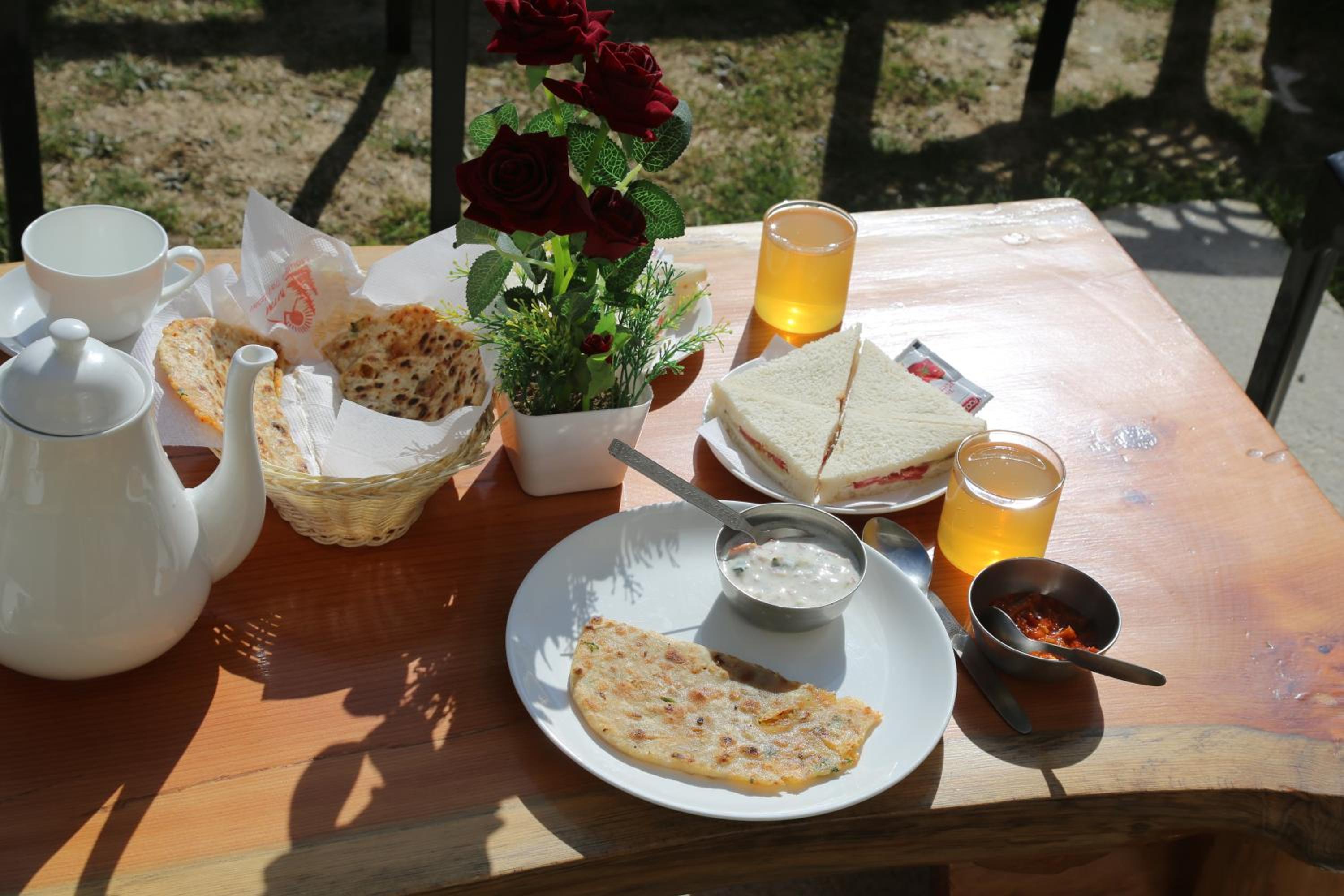 Hotel Mountain Trail Manali