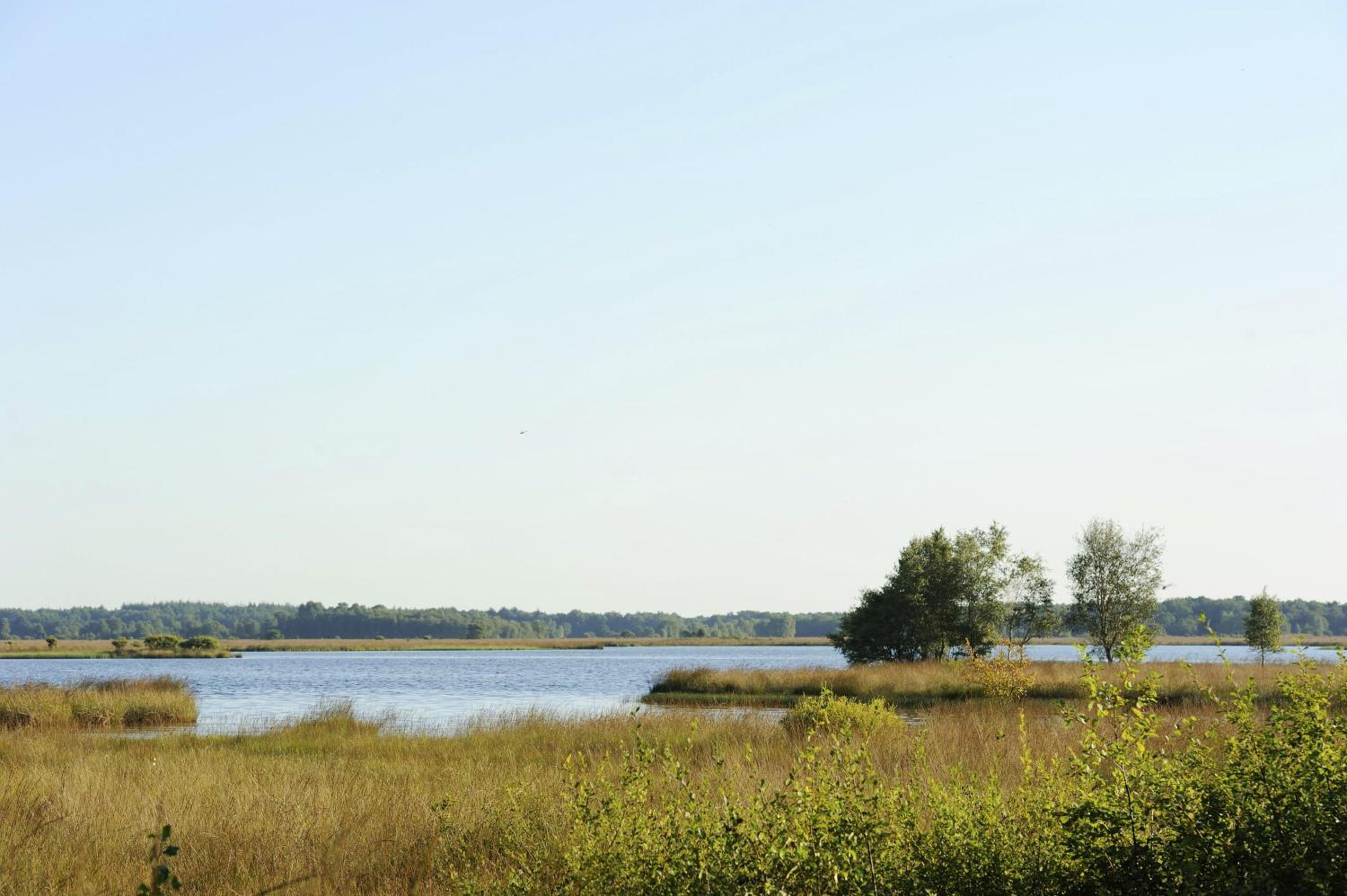 RCN Vakantiepark de Noordster