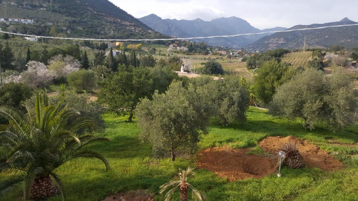 Villa Carmen photo 3