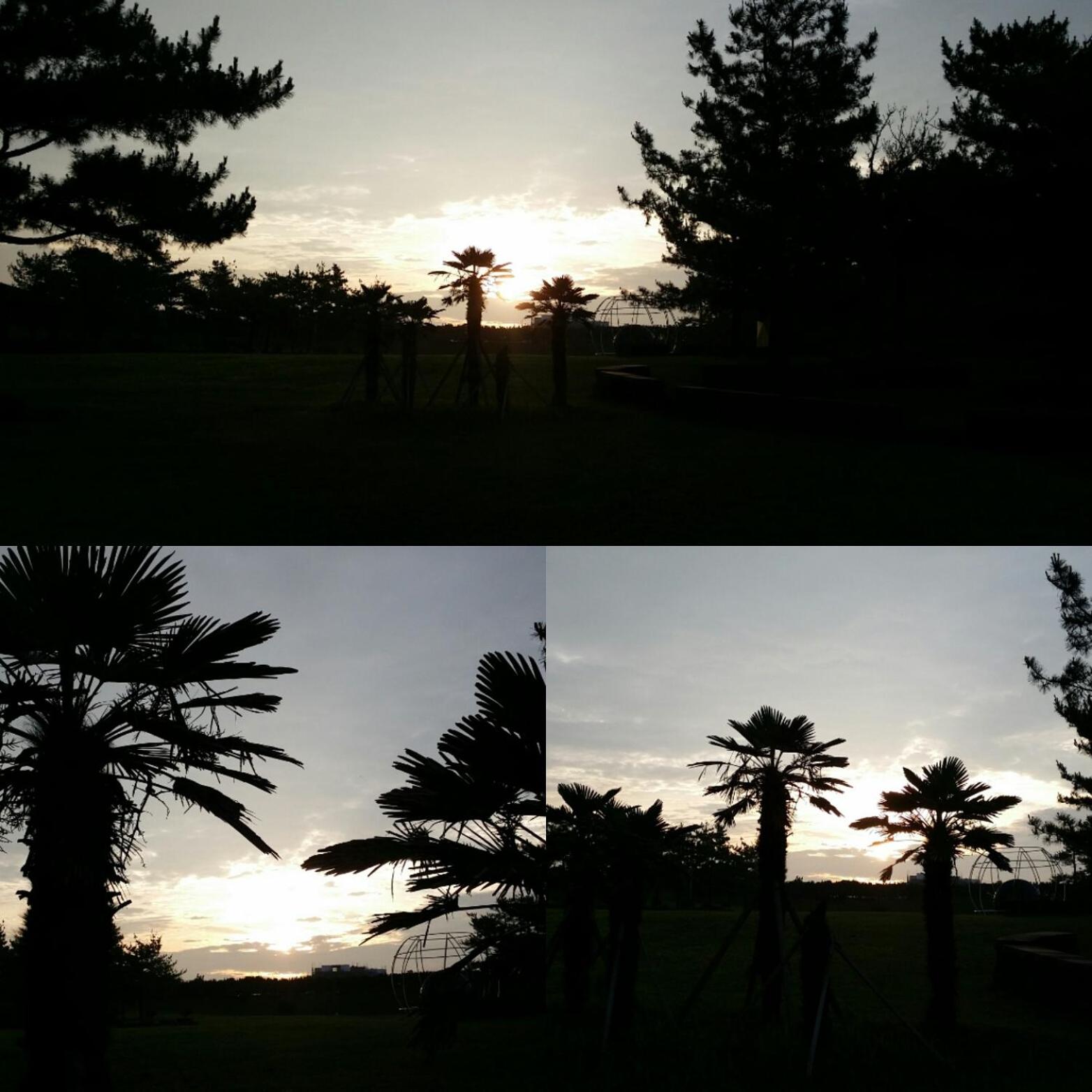 Jun House