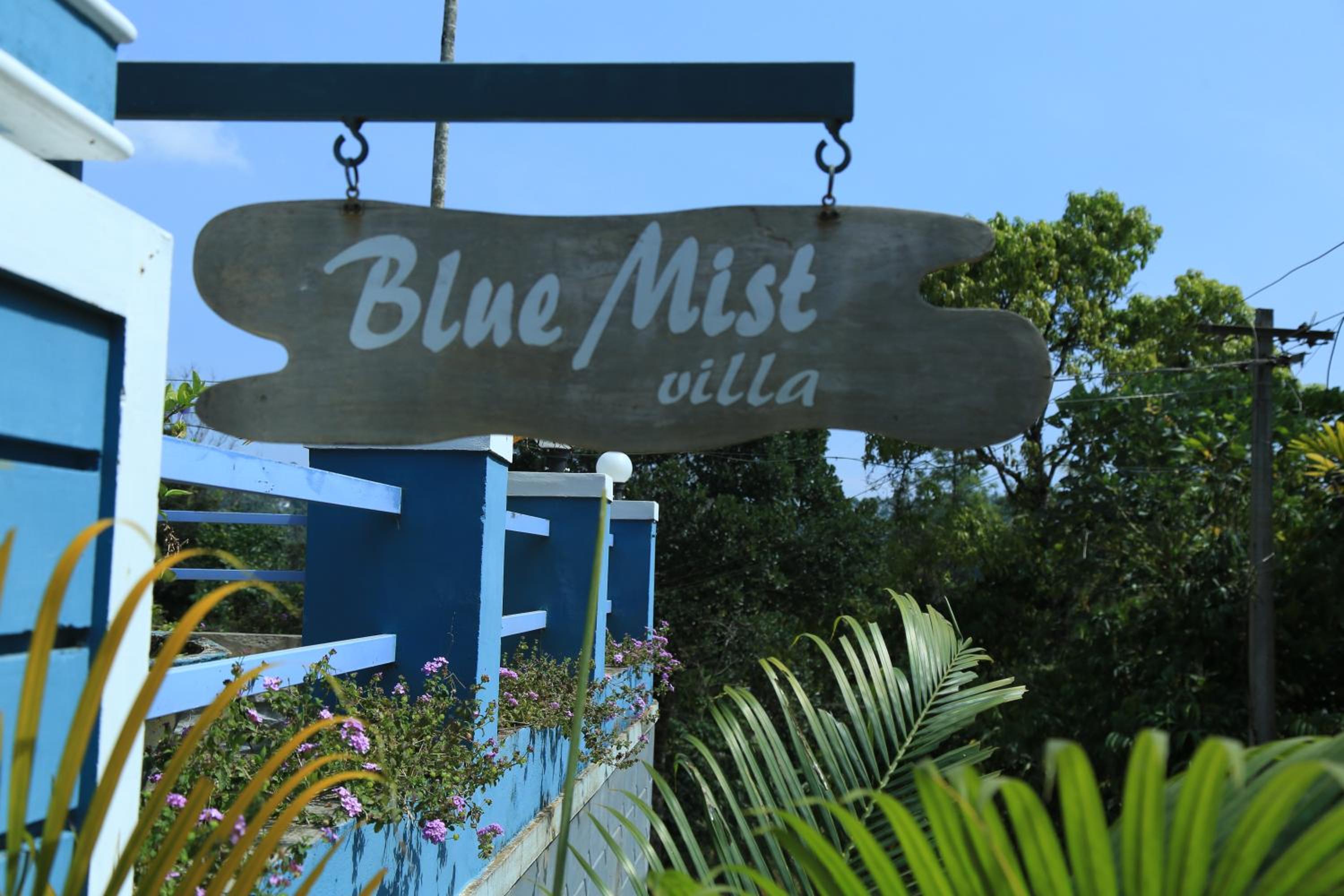Munnar Blue Mist