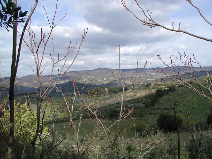 Agriturismo Podere la Casa view 4