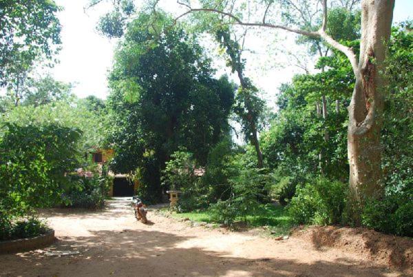 Photo 25