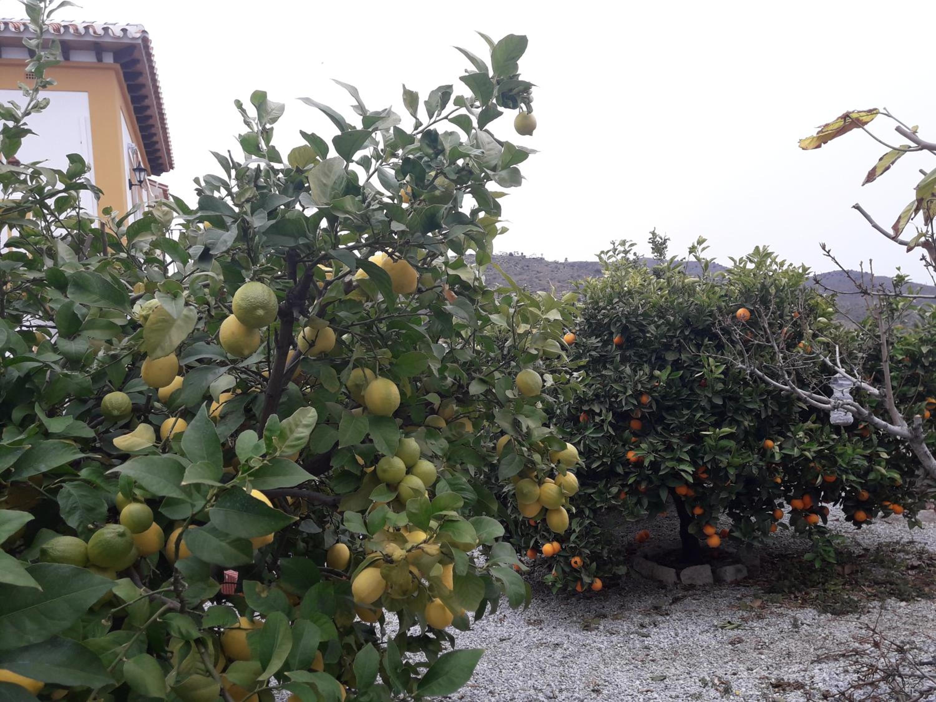 Alojamiento Colina del Sol