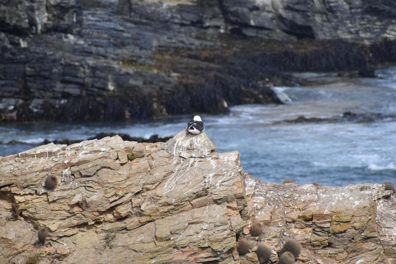 Conviento de Lobos