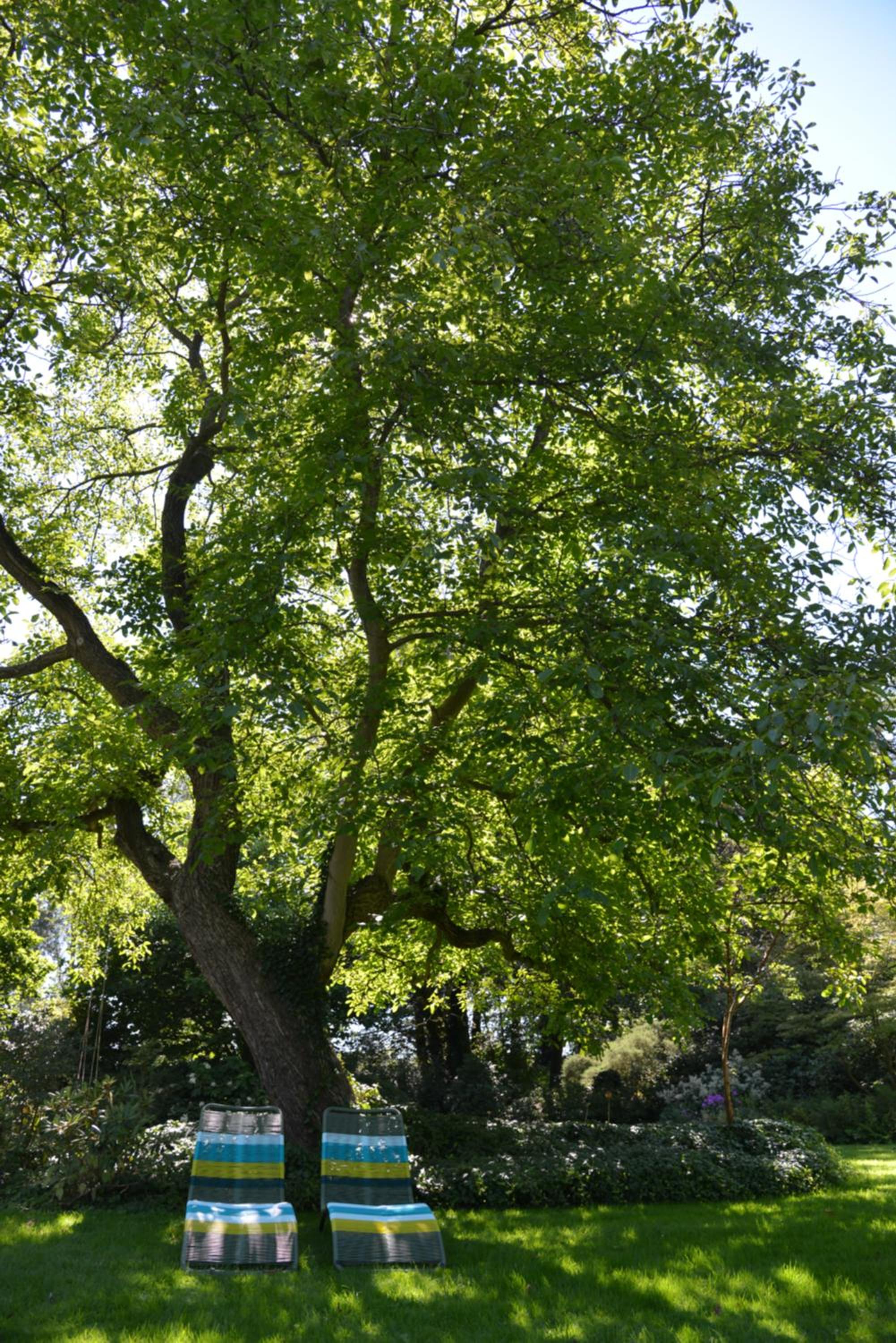 Photo 26