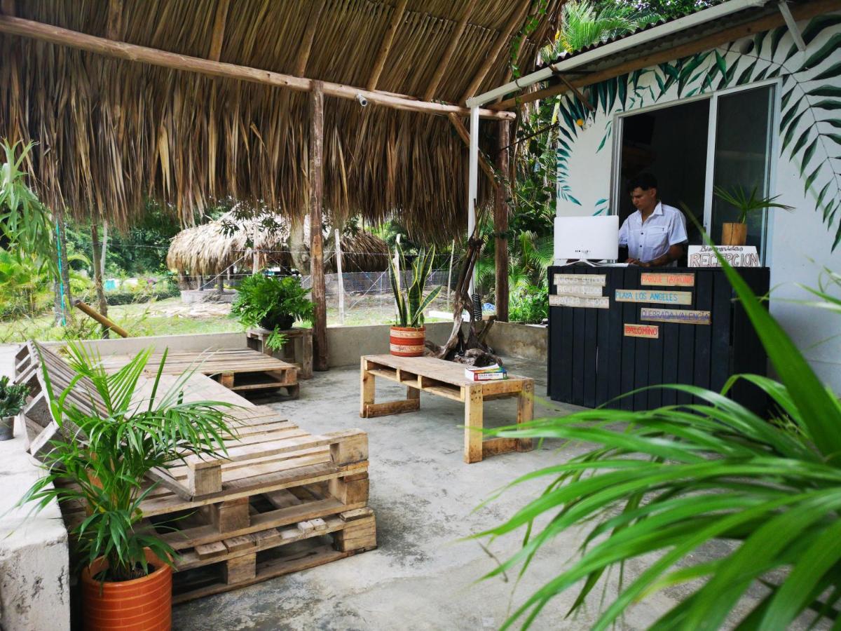 Hostal Mama Tayrona