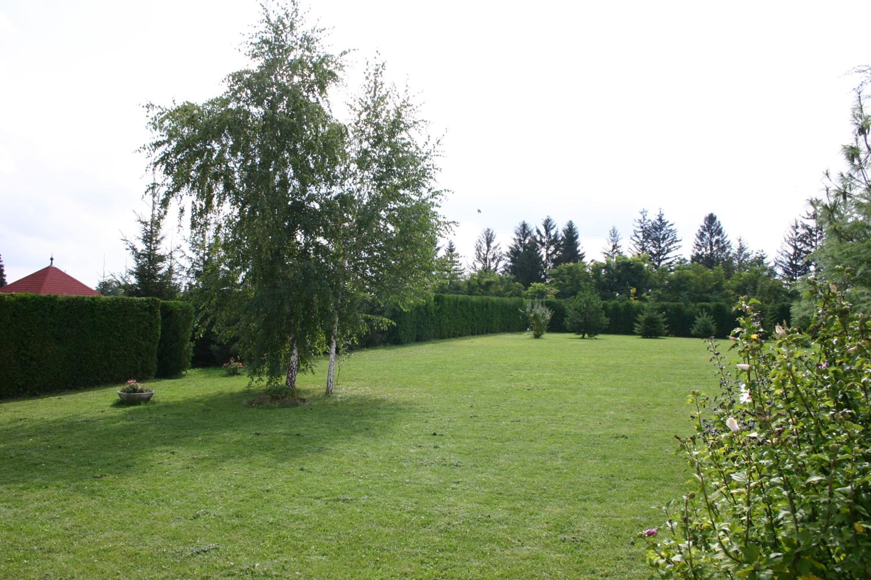 Photo 24