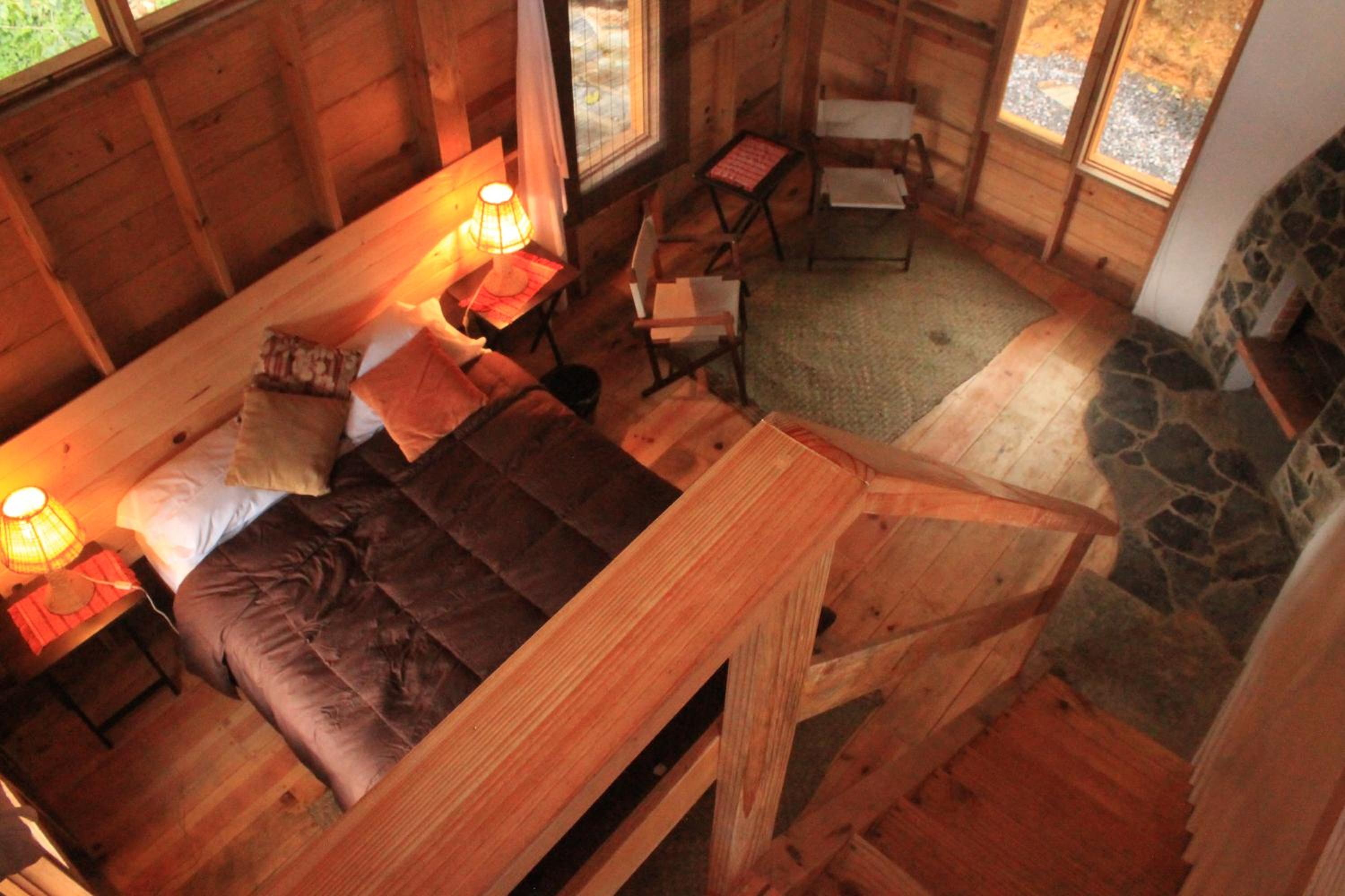 Photo 42