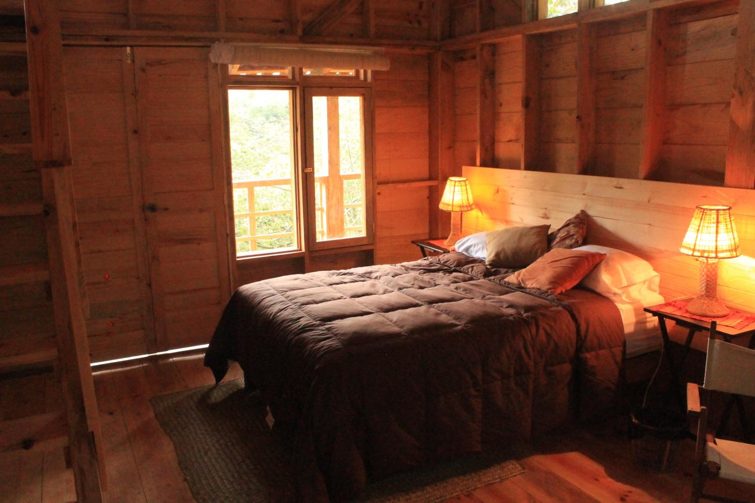 Photo 43