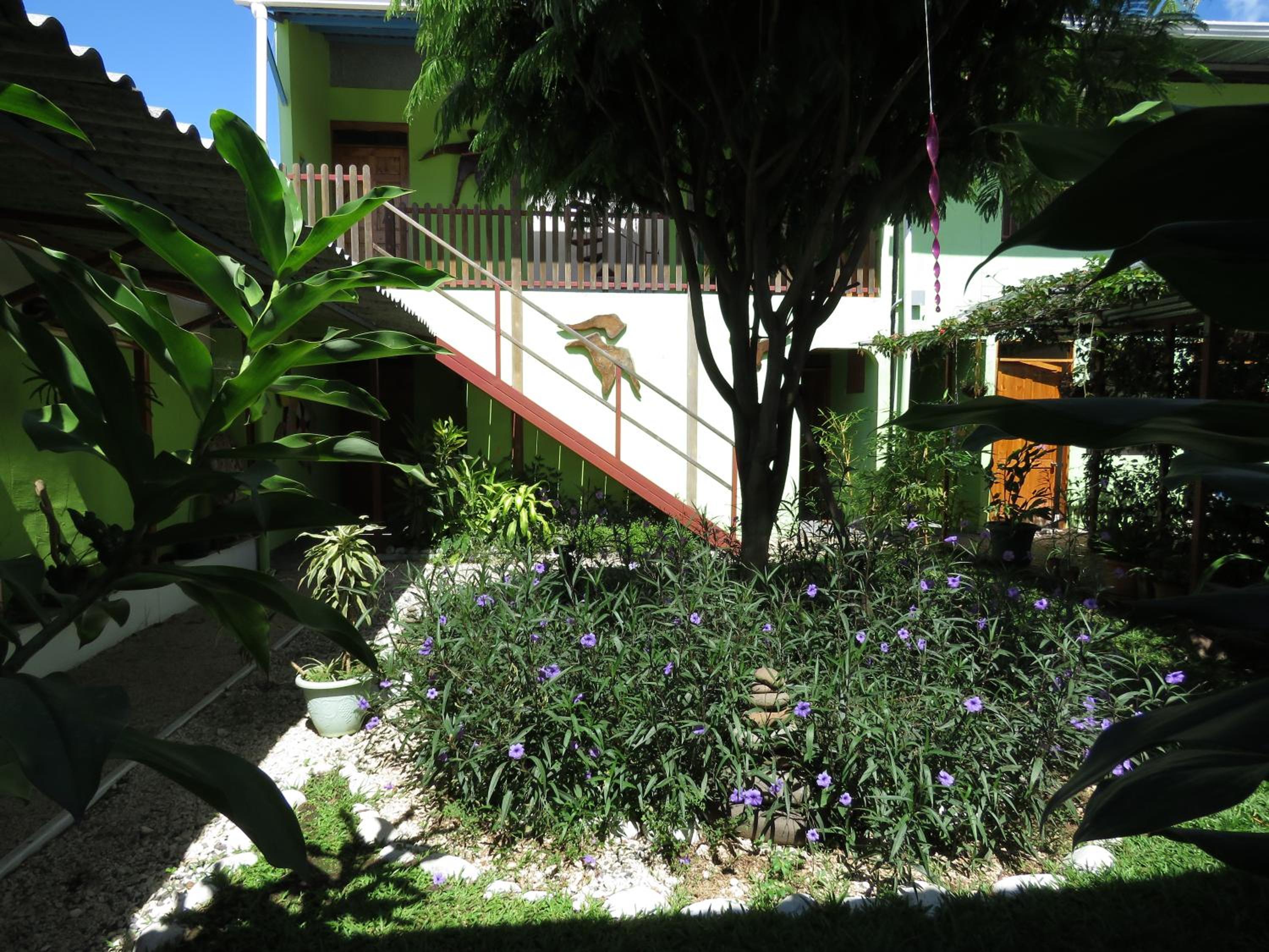 Photo 8