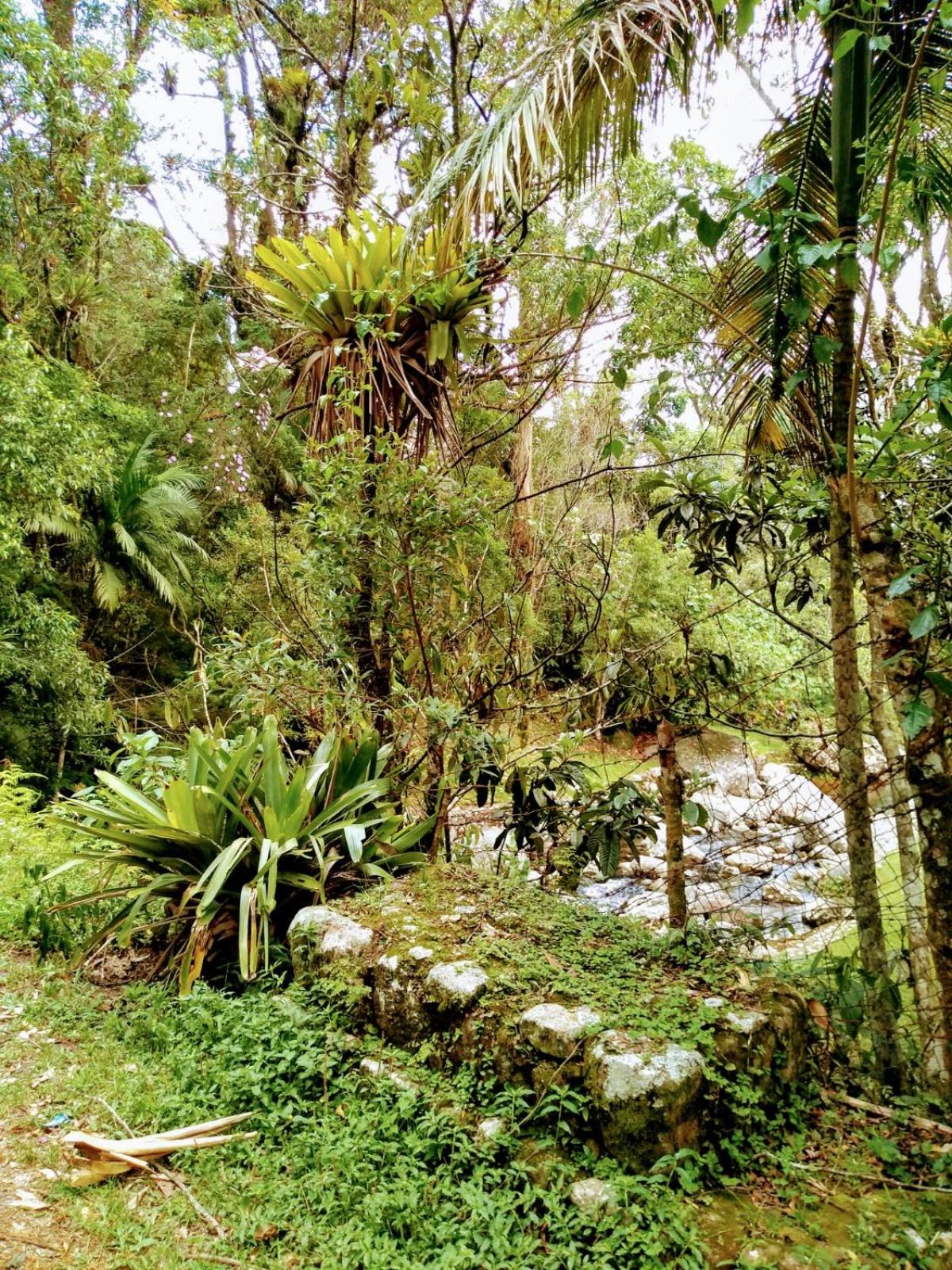 Chamego em Teresópolis próximo a feirinha