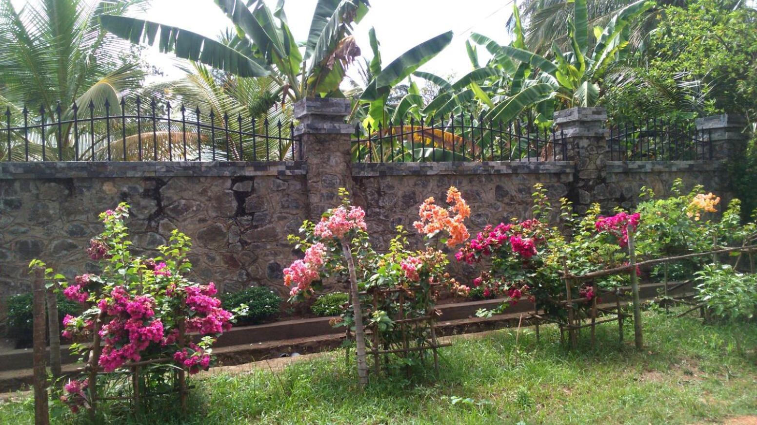 Pearl Crown Homestay
