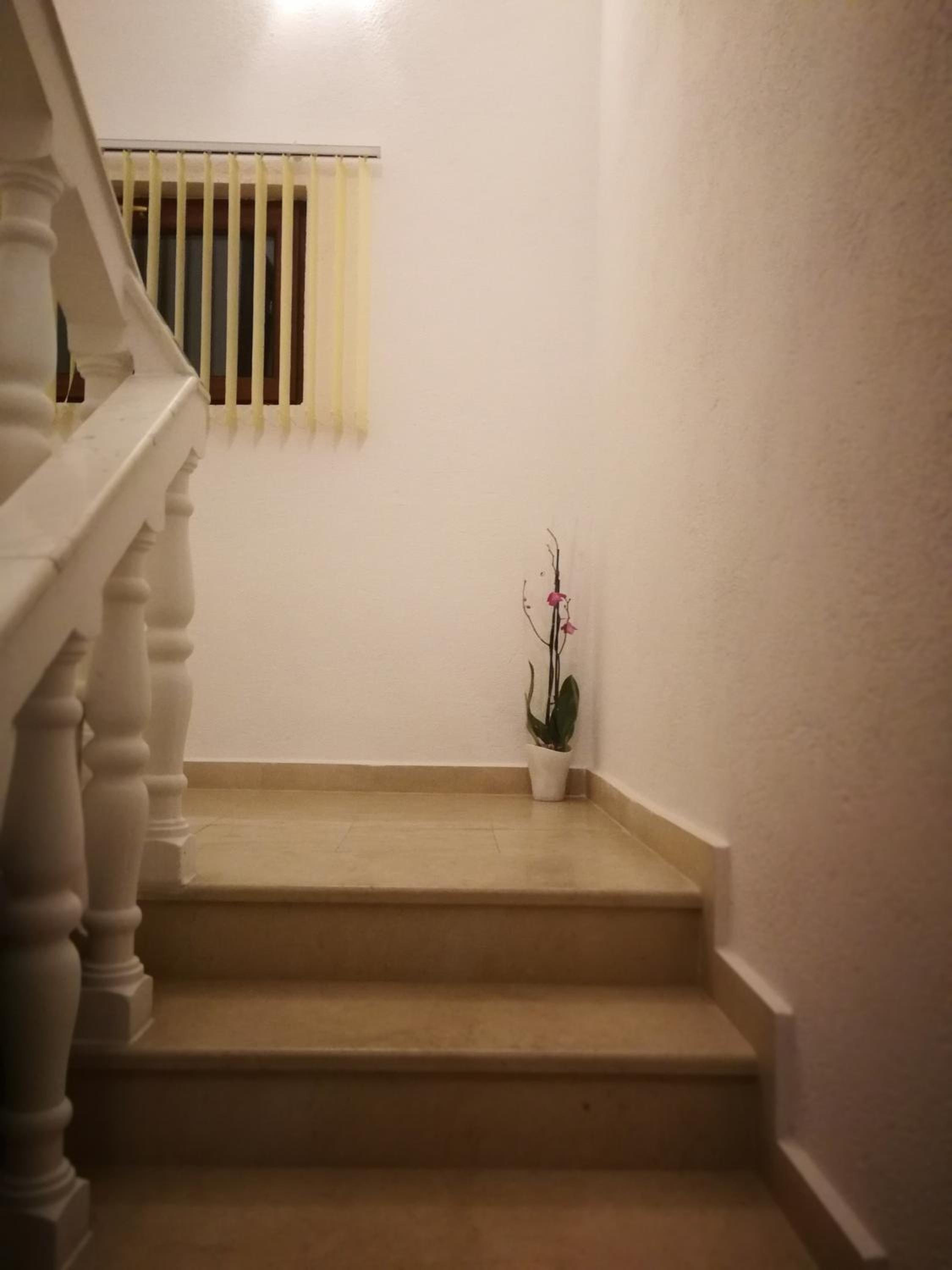 Bayrakova Guest House