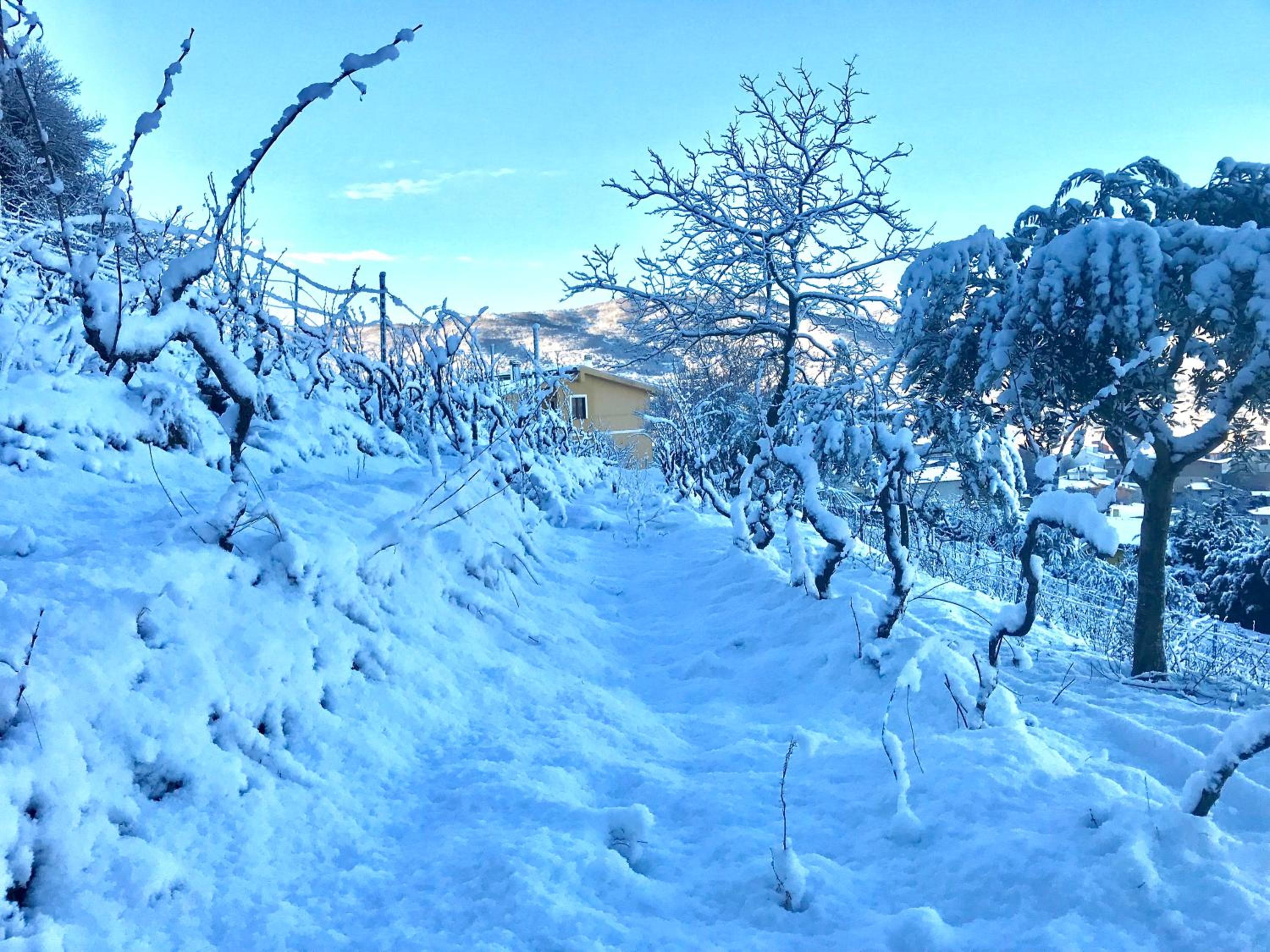AbbaNive view 5