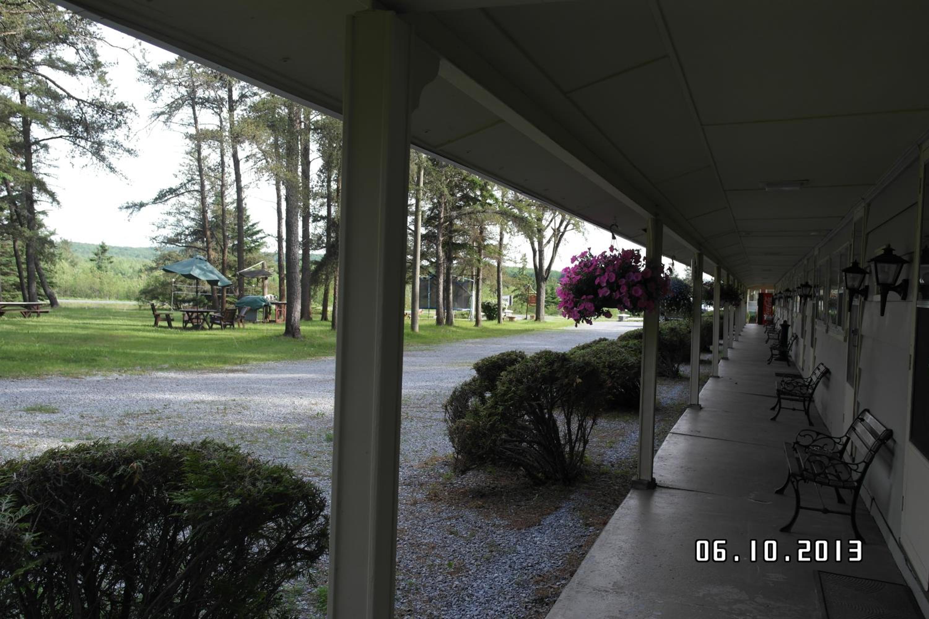 Pinecone Motel