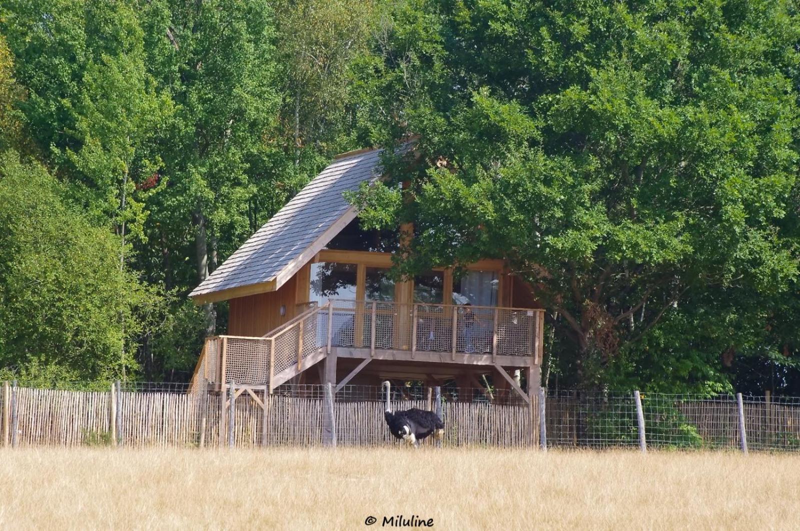Les Lodges Du Reynou
