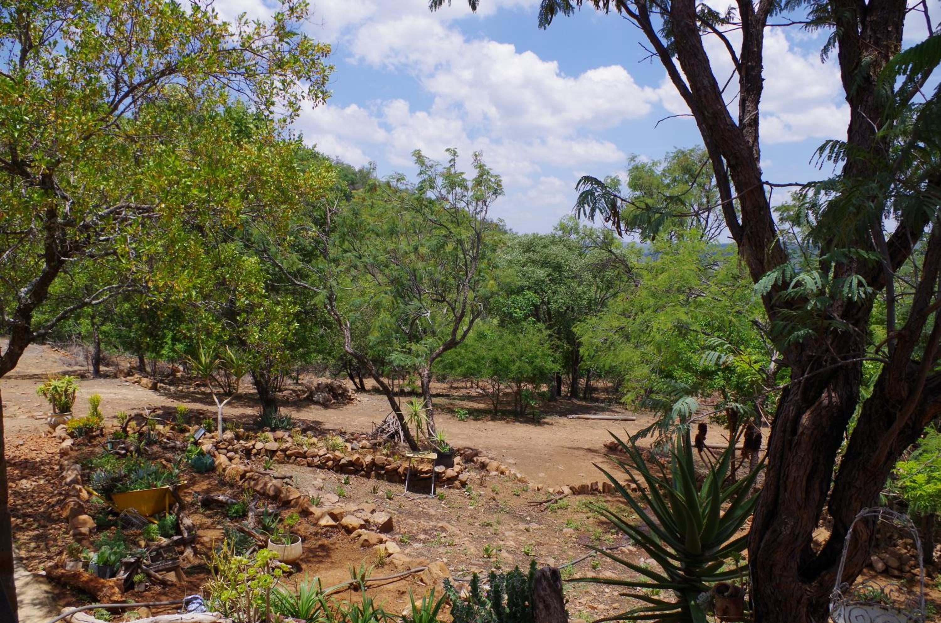 Photo 25