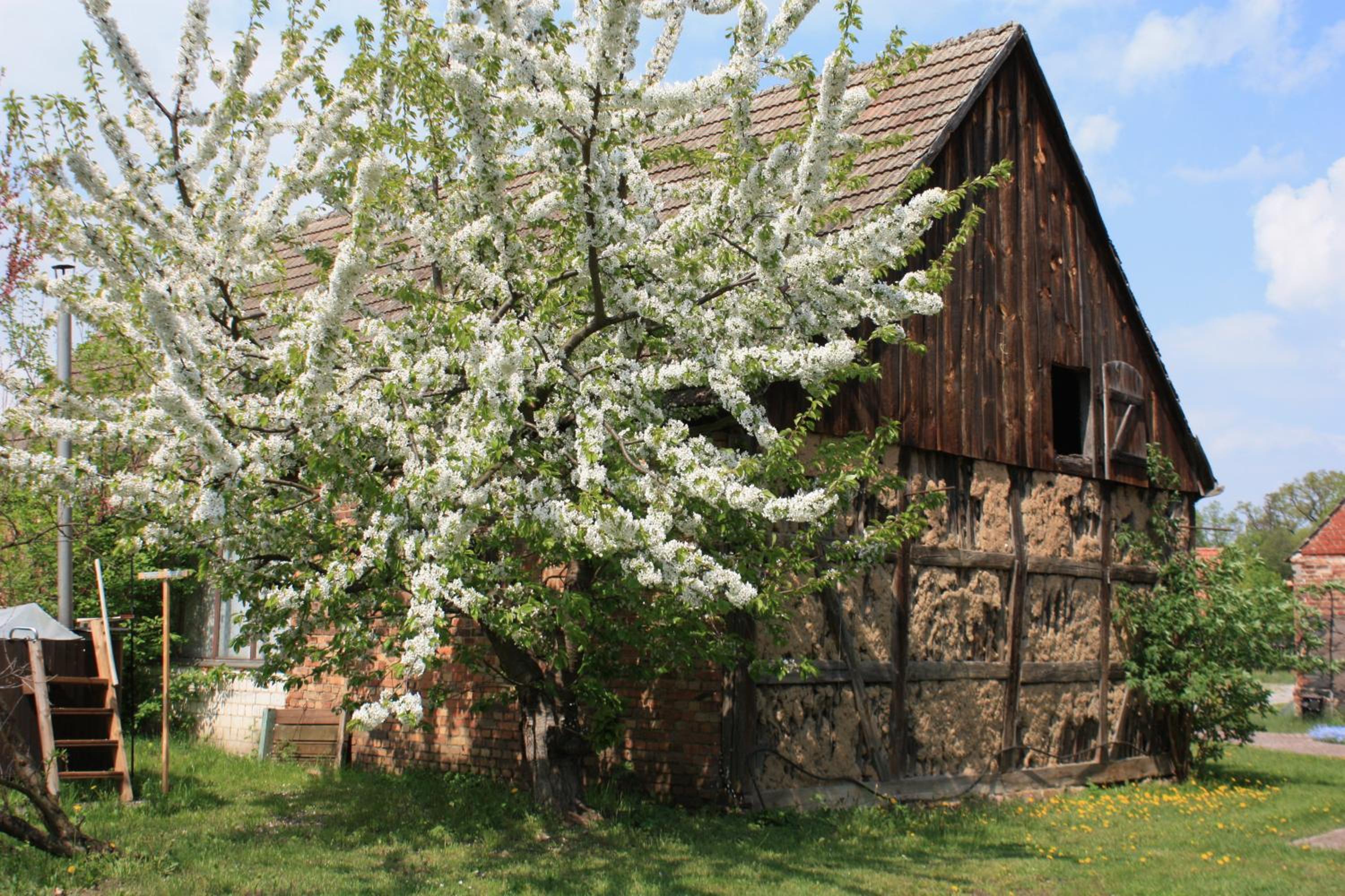 Ferienhof Löschebrand