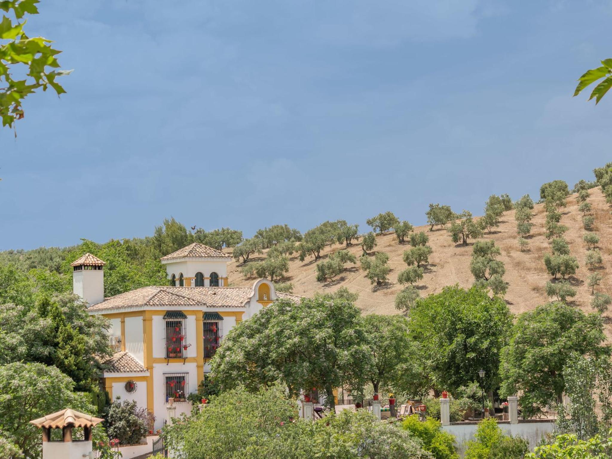Villa in Priego with pool near Sierras Subbéticas view 5