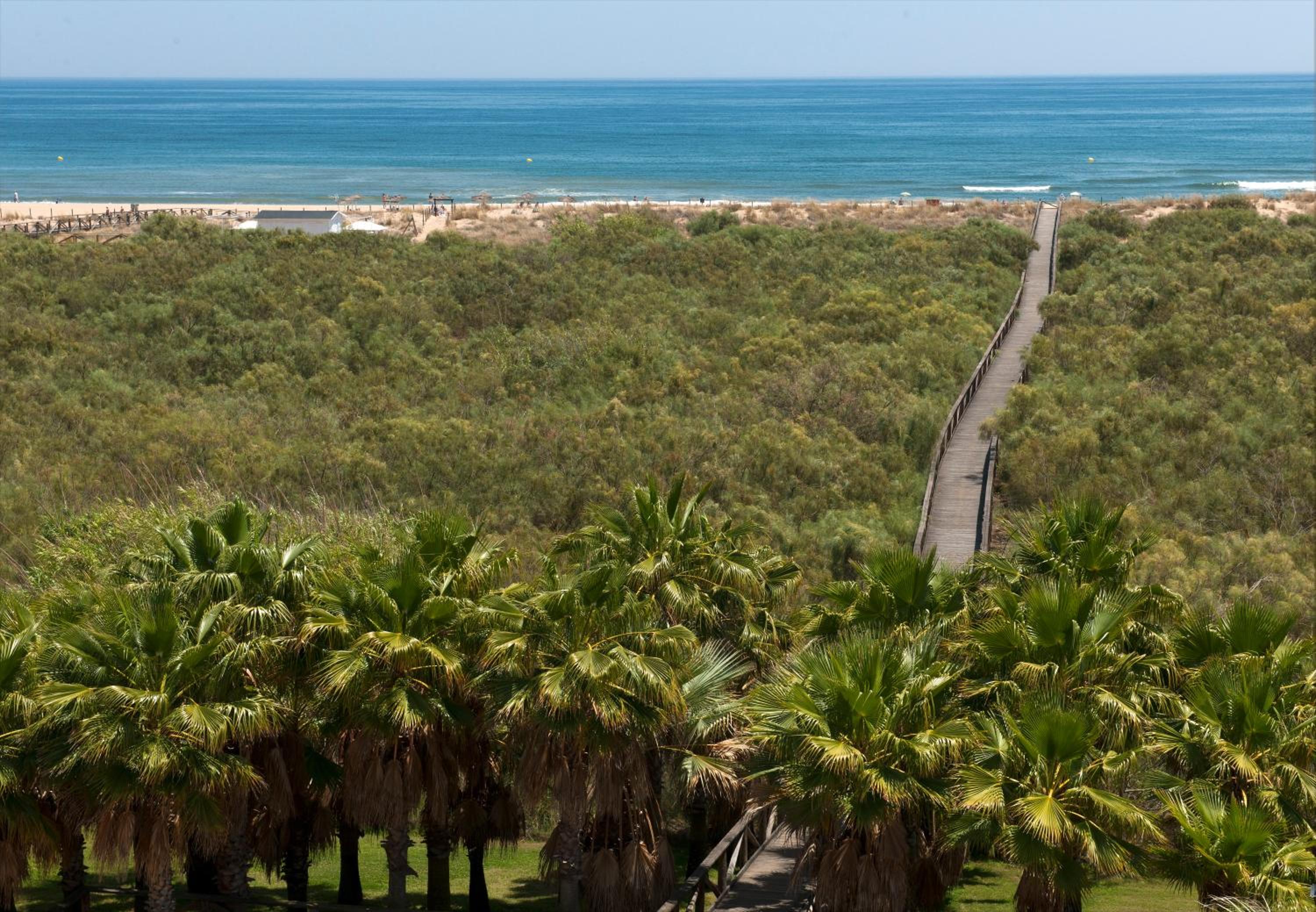 Leo Rentals view 5