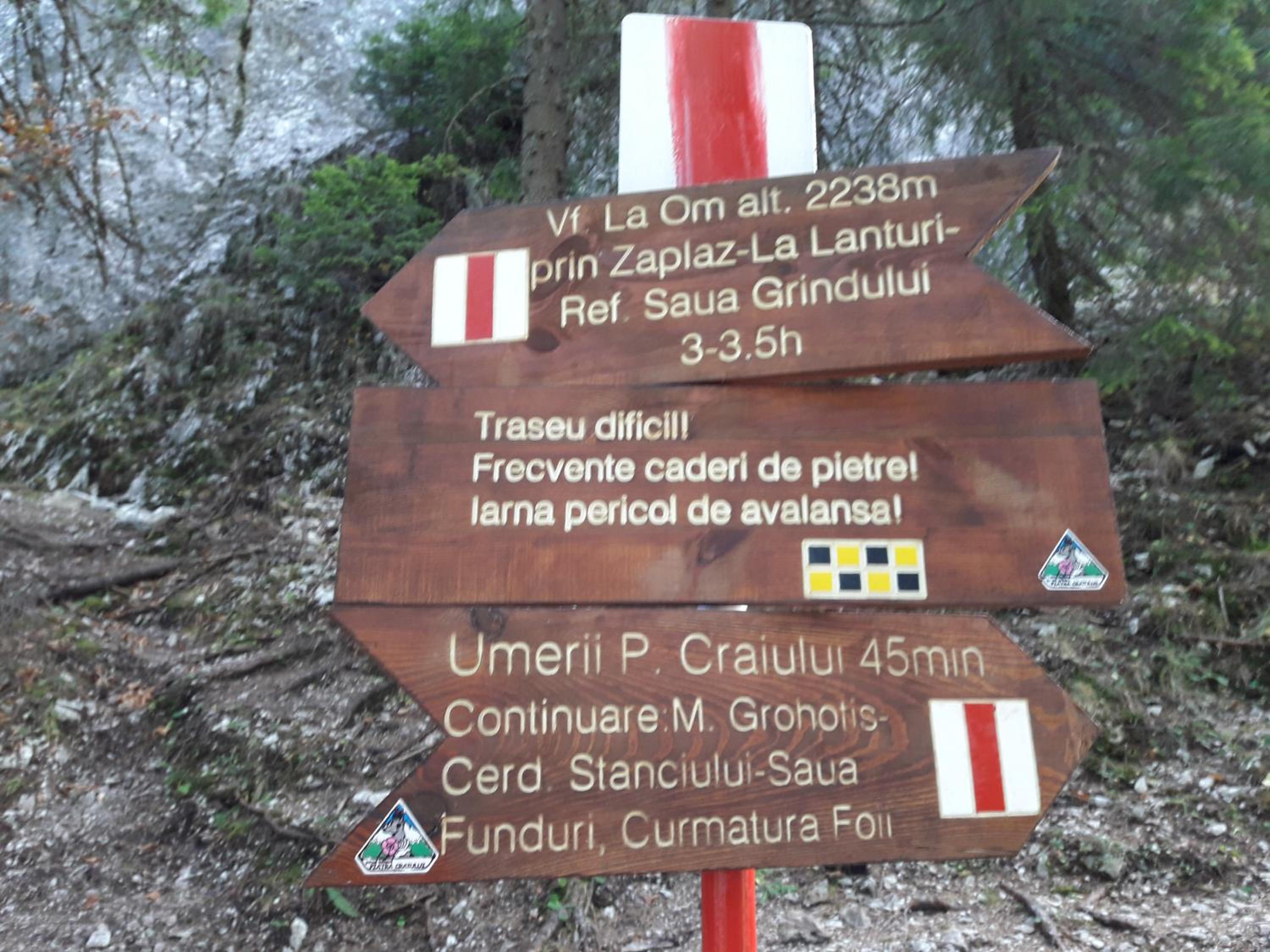 Photo 47