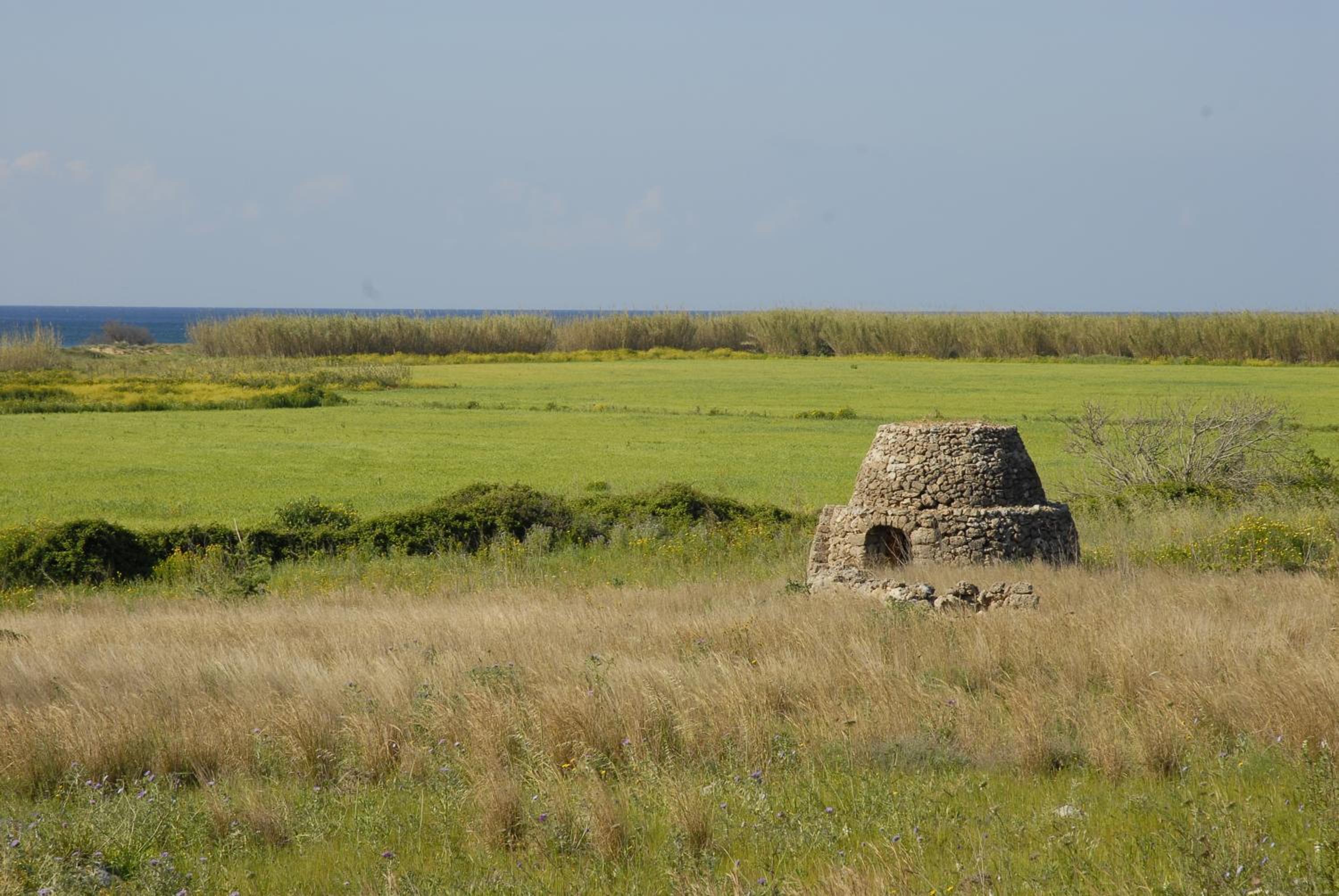 Villa Arja