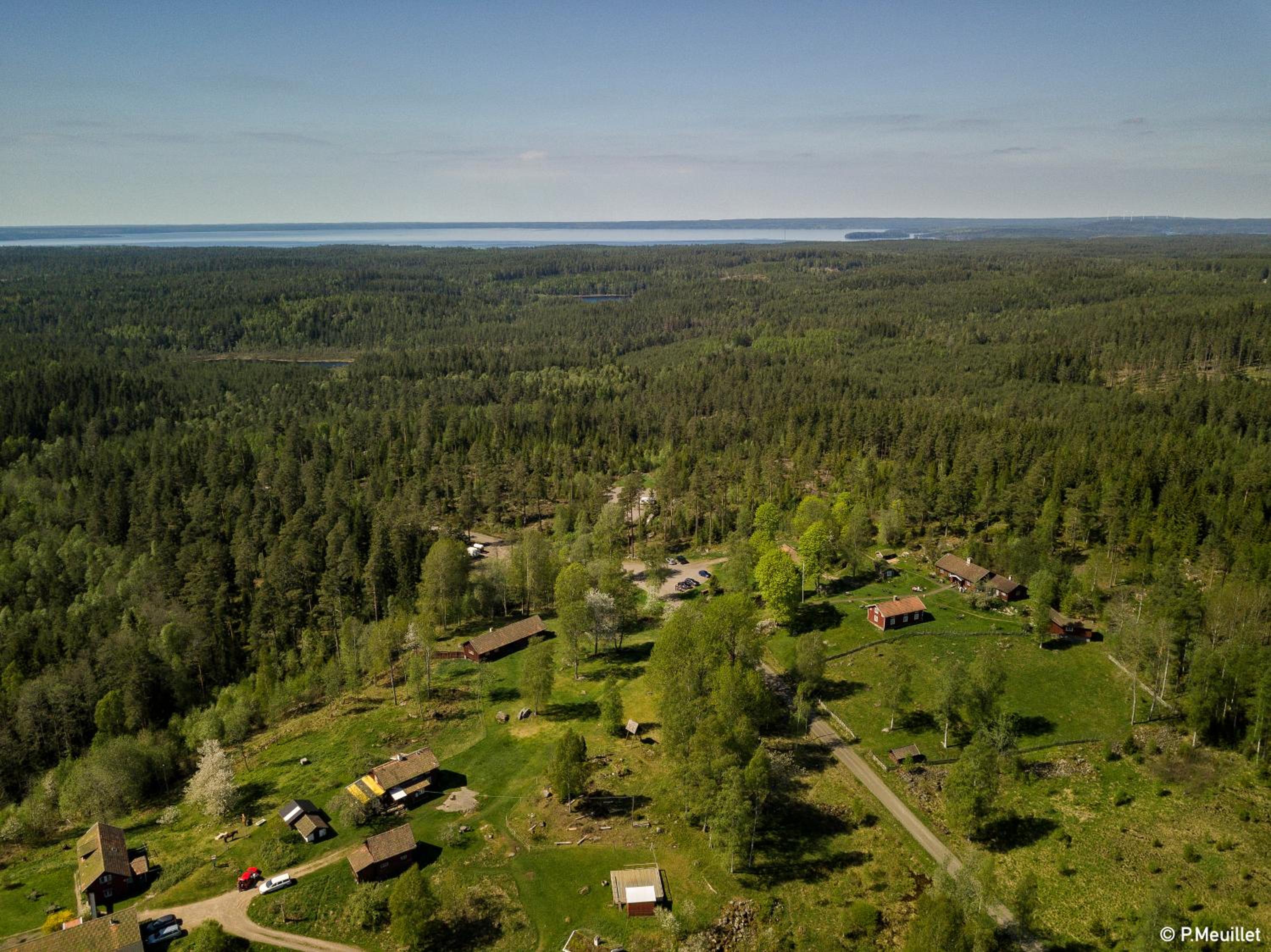STF Tivedstorp