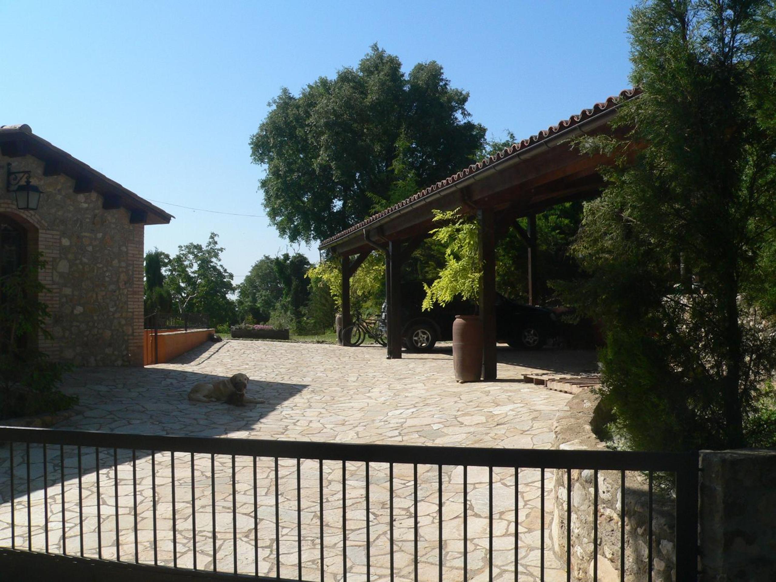 Photo 10