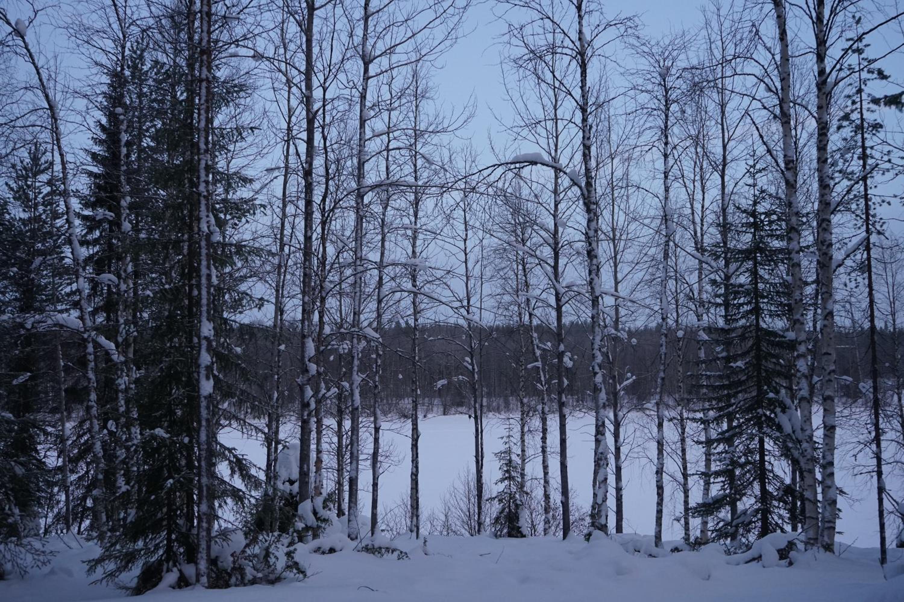 Photo 48