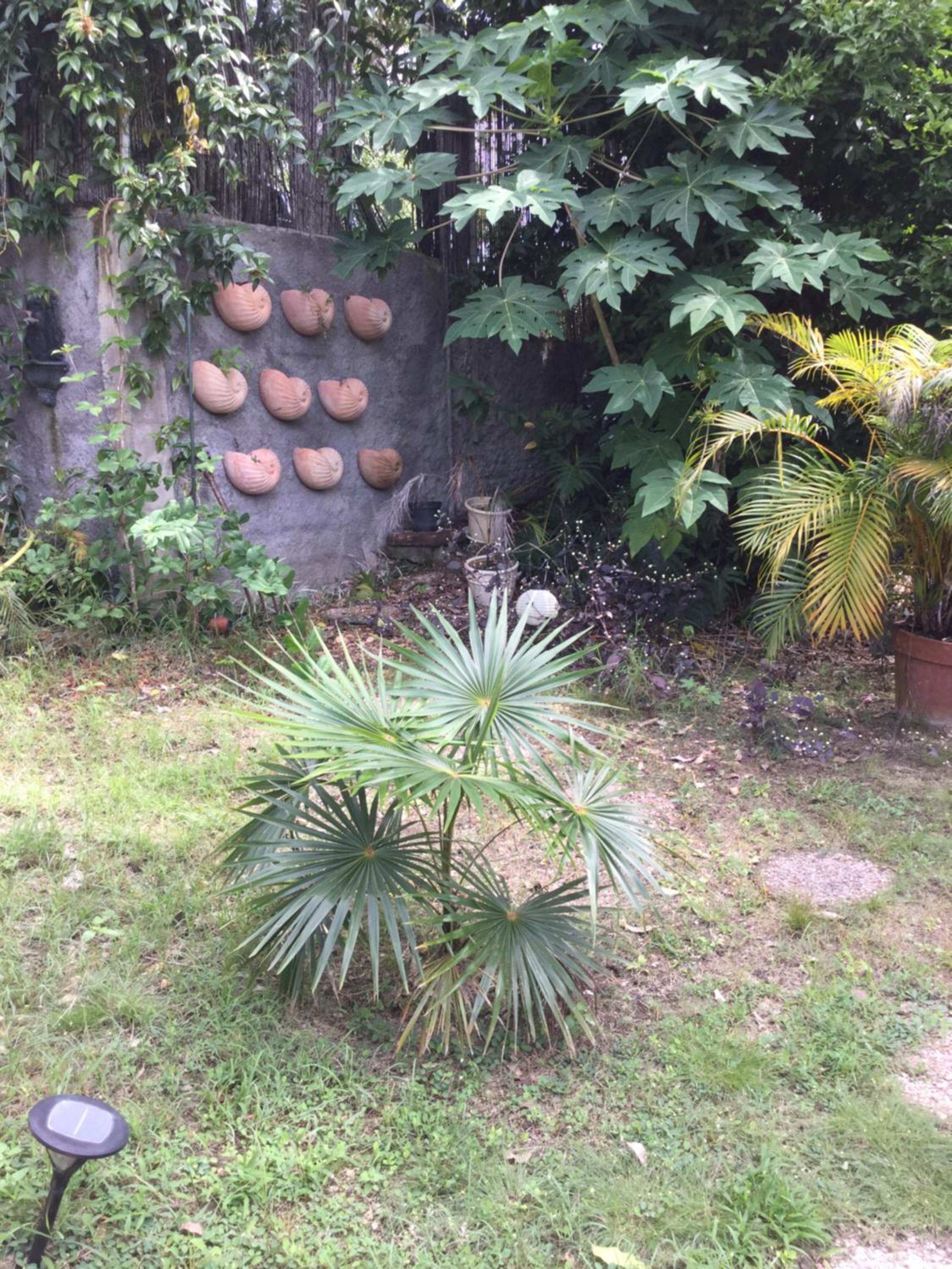 Photo 33