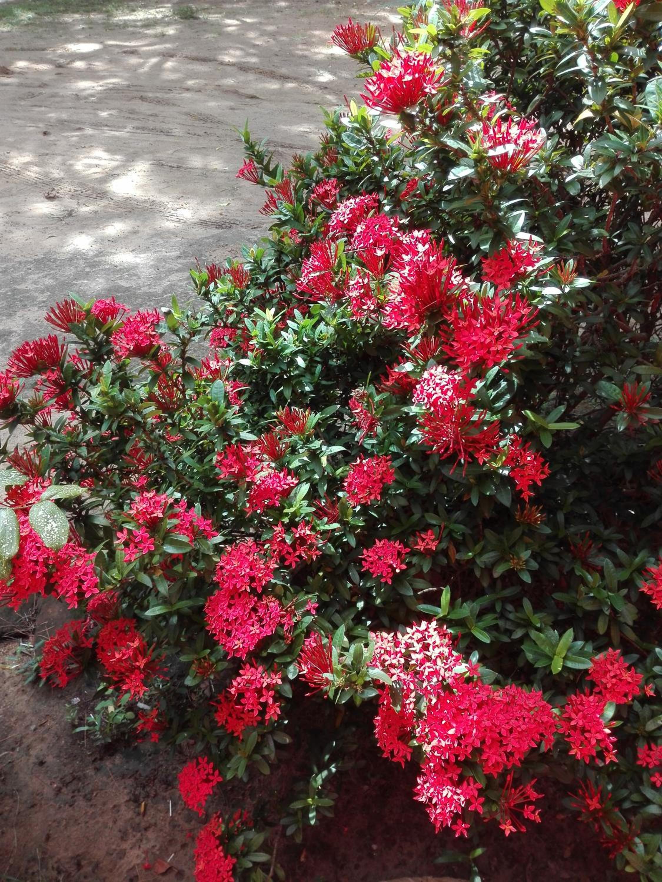 Photo 40