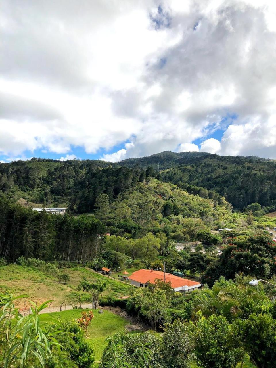 Cabaña Vista Verde