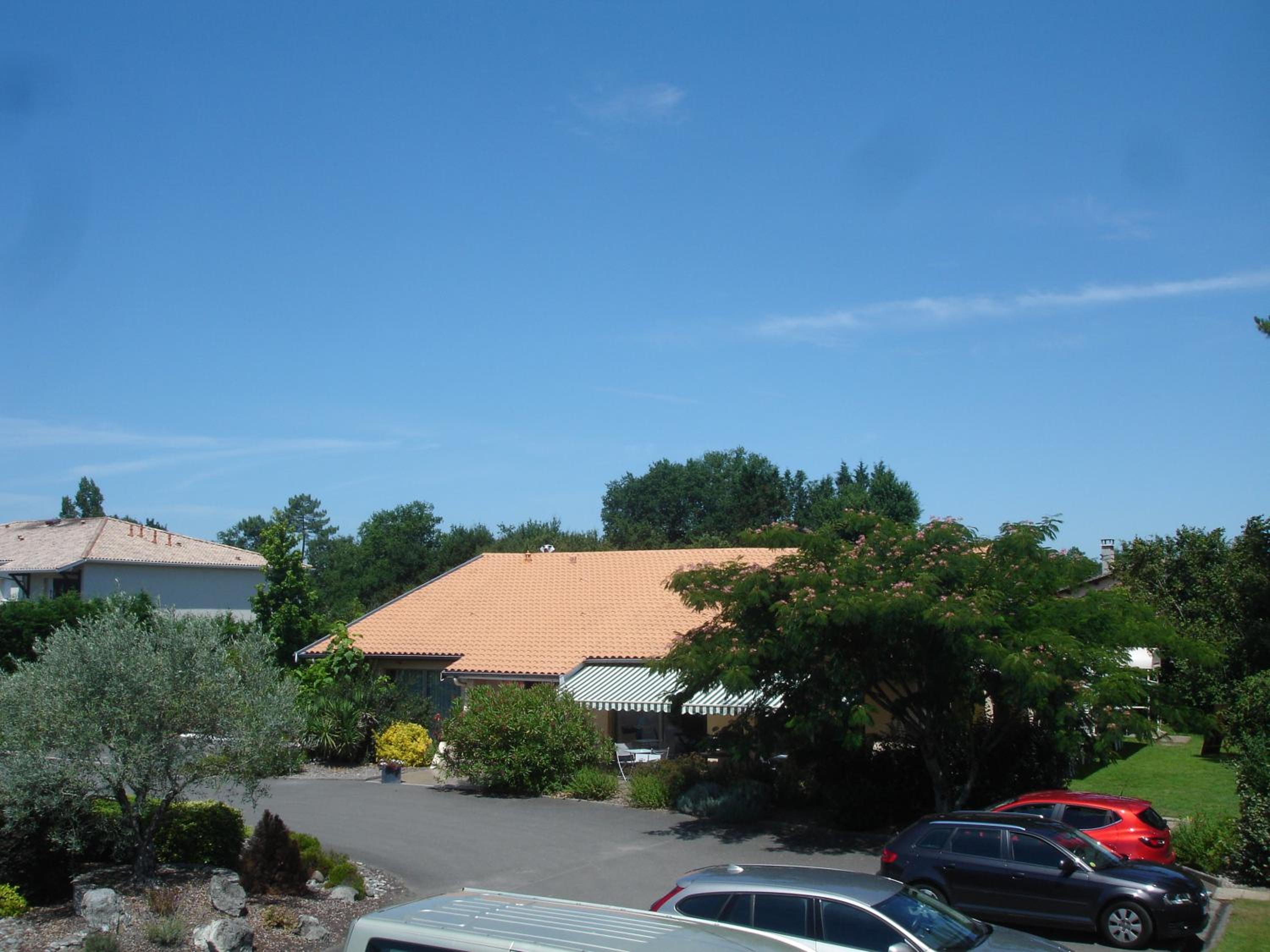 Photo 41