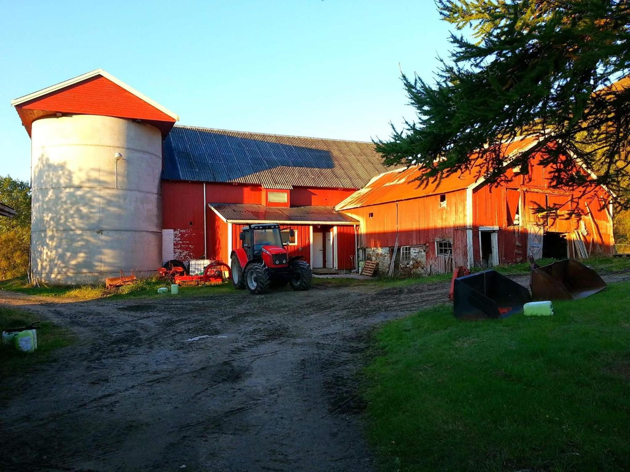 Photo 20