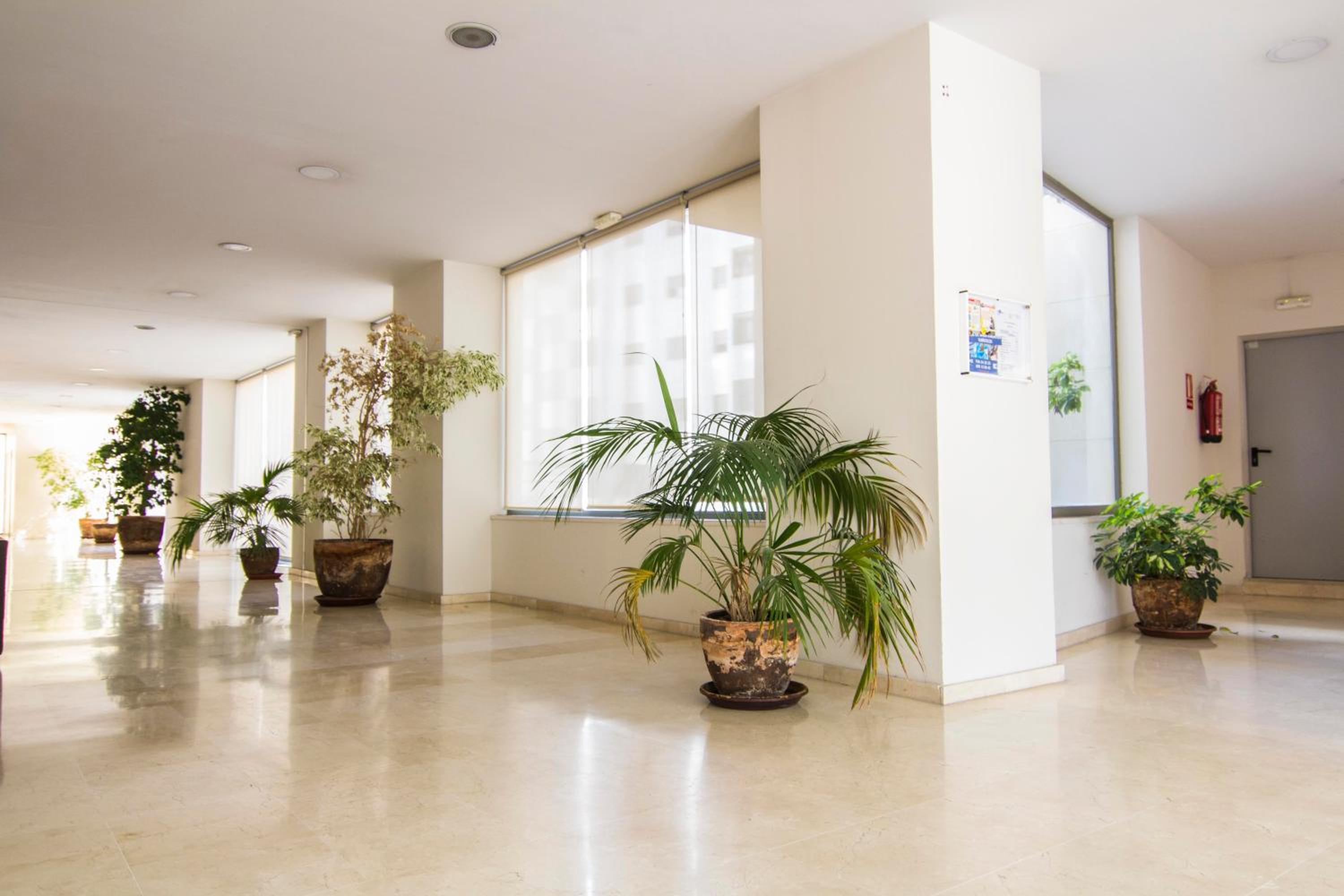 Apartamento Racimo El Puerto de Santa Maria view 3